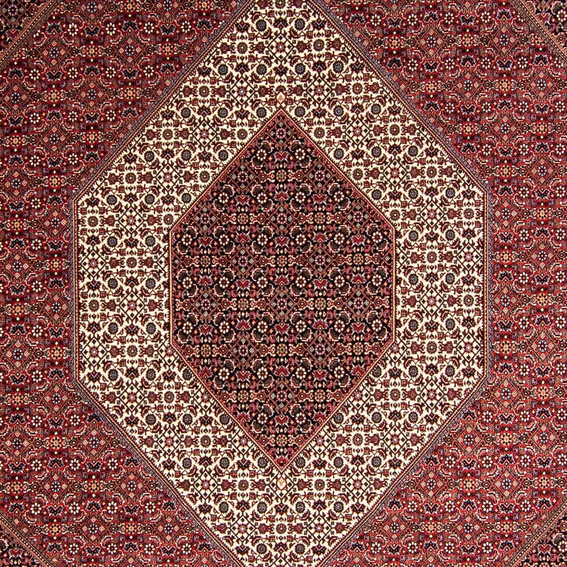 Tappeto Persero - Bidjar - 354 x 248 cm - rosso chiaro