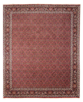 Tappeto Persero - Bidjar - 300 x 252 cm - rosso scuro