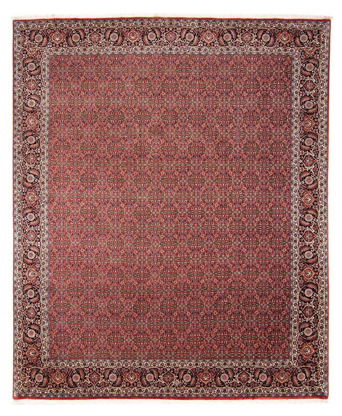 Tappeto Persero - Bidjar - 300 x 252 cm - rosso scuro