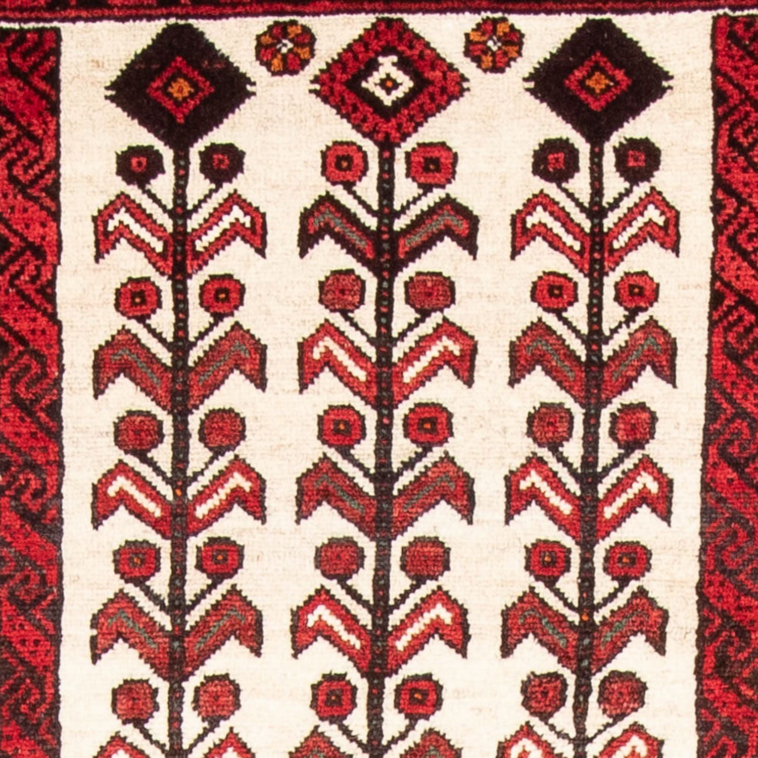 Tappeto corsia Tappeto Belutsch - 204 x 109 cm - beige