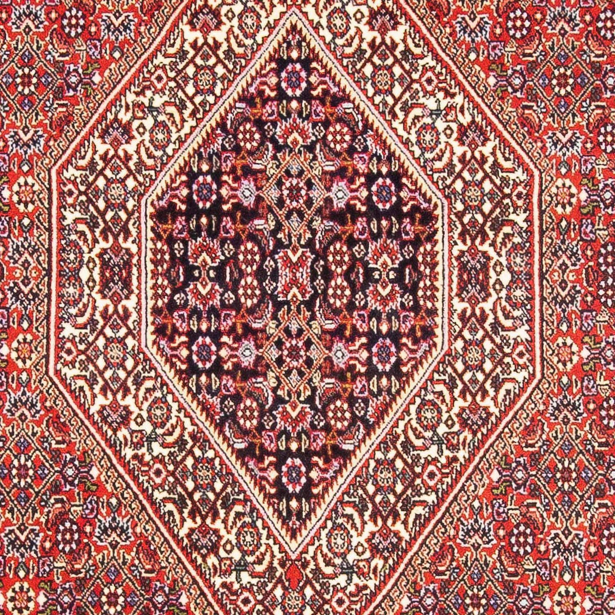 Tappeto Persero - Bidjar - 182 x 112 cm - rosso chiaro
