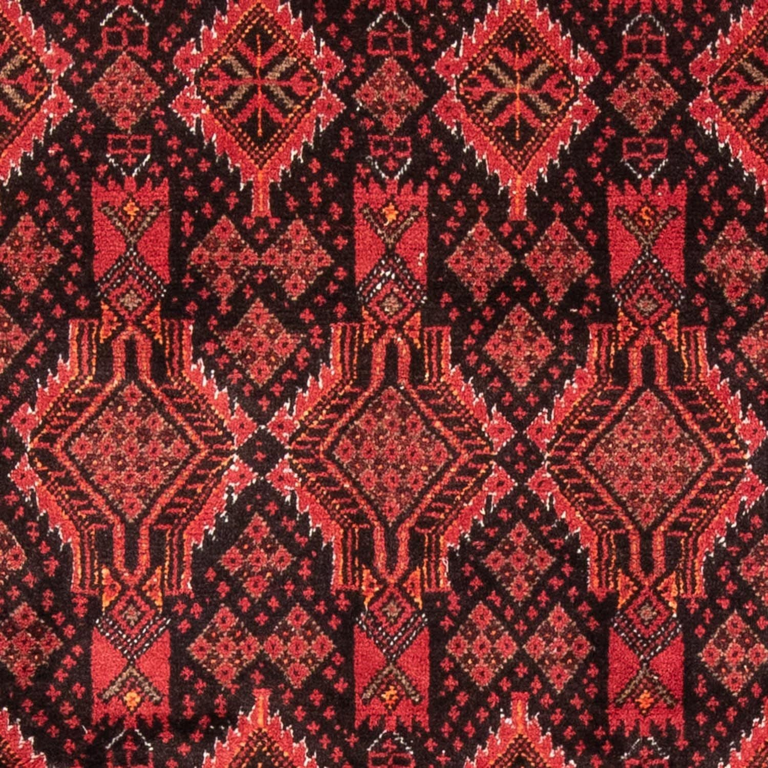 Tappeto corsia Tappeto Belutsch - 181 x 102 cm - rosso