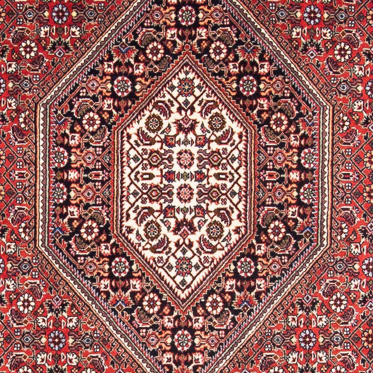 Tappeto Persero - Bidjar - 170 x 111 cm - rosso
