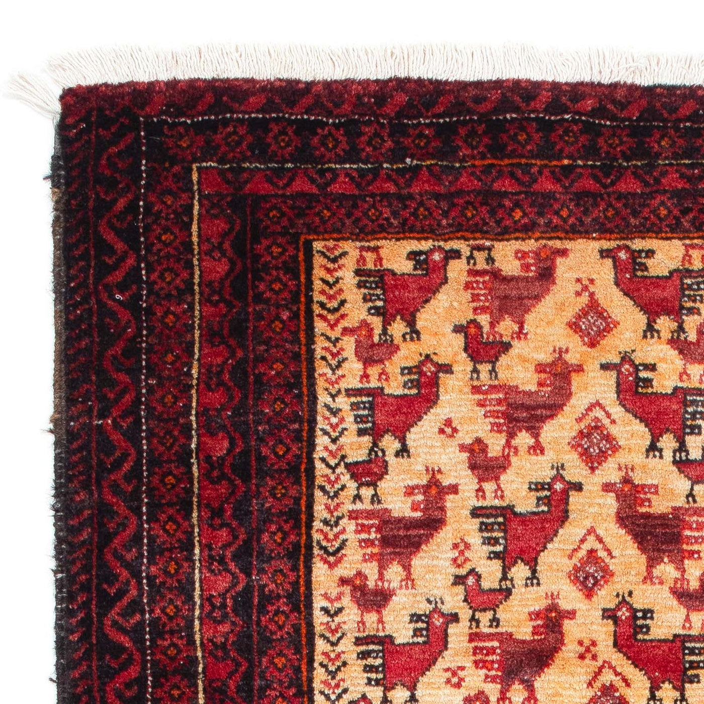 Tappeto Belutsch 167x94cm - Tappeto orientale