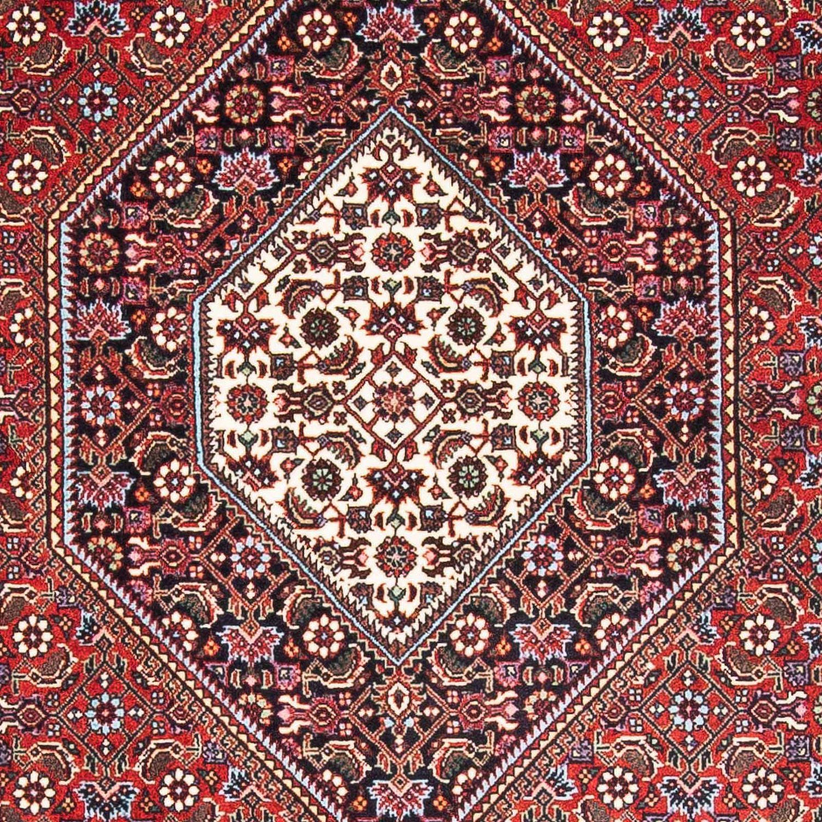 Tappeto Persero - Bidjar - 171 x 114 cm - rosso