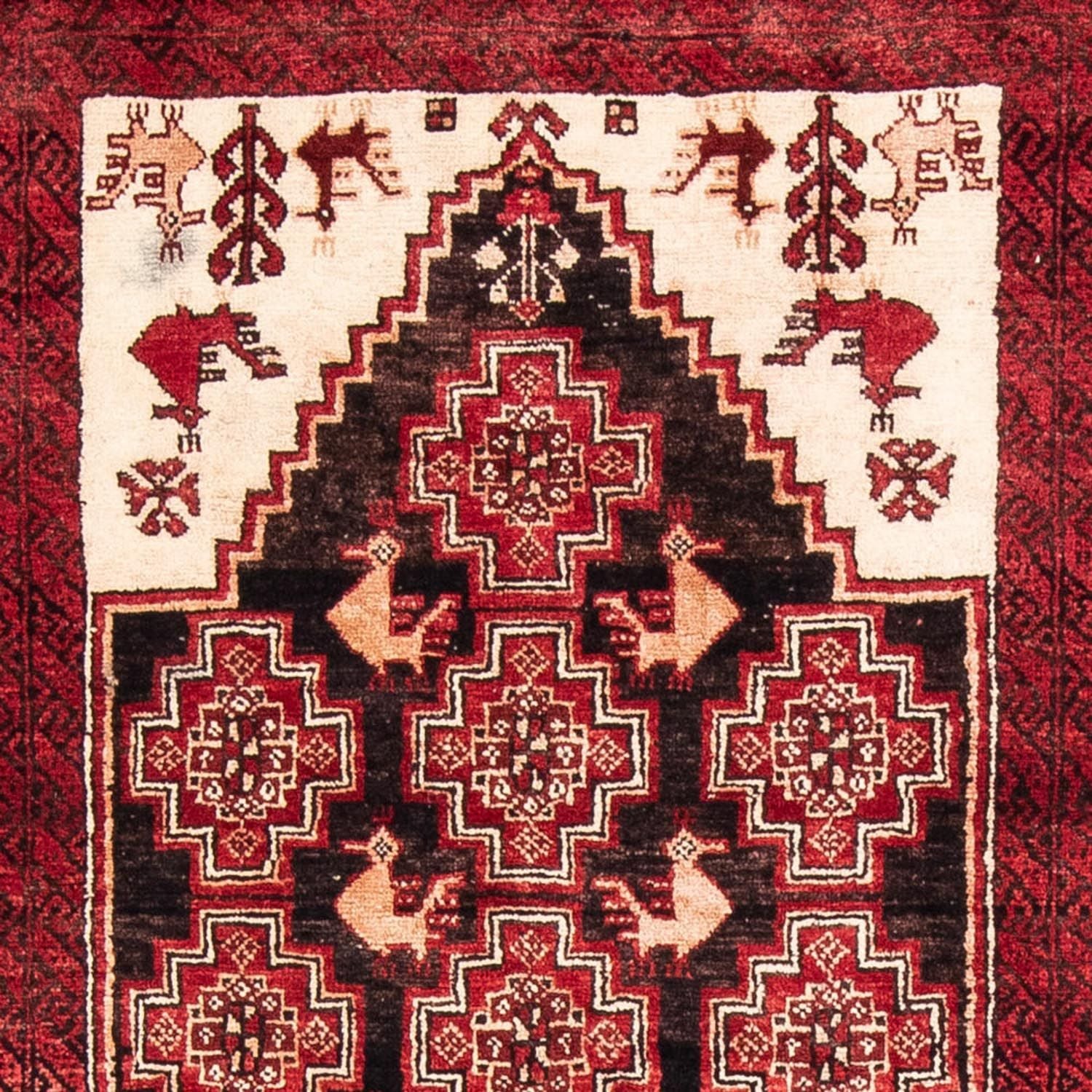 Tappeto corsia Tappeto Belutsch - 202 x 100 cm - rosso