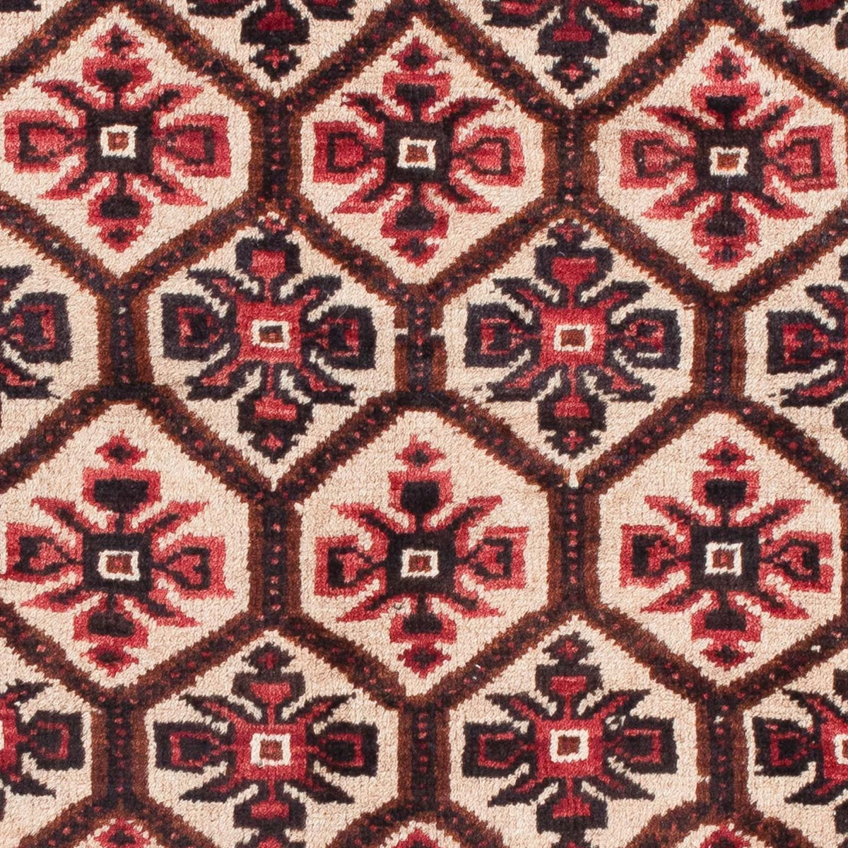Tappeto Belutsch - 150 x 86 cm - beige
