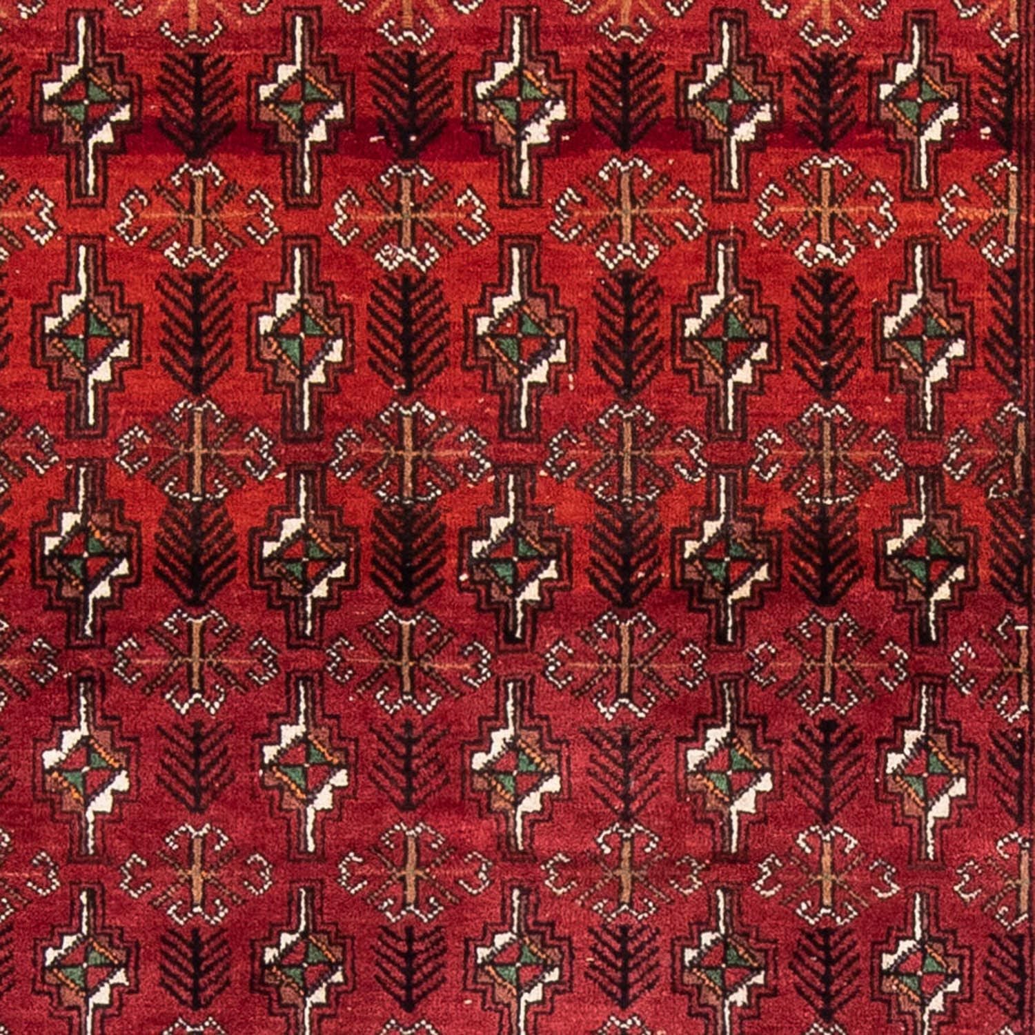 Tappeto corsia Tappeto Belutsch - 187 x 105 cm - rosso