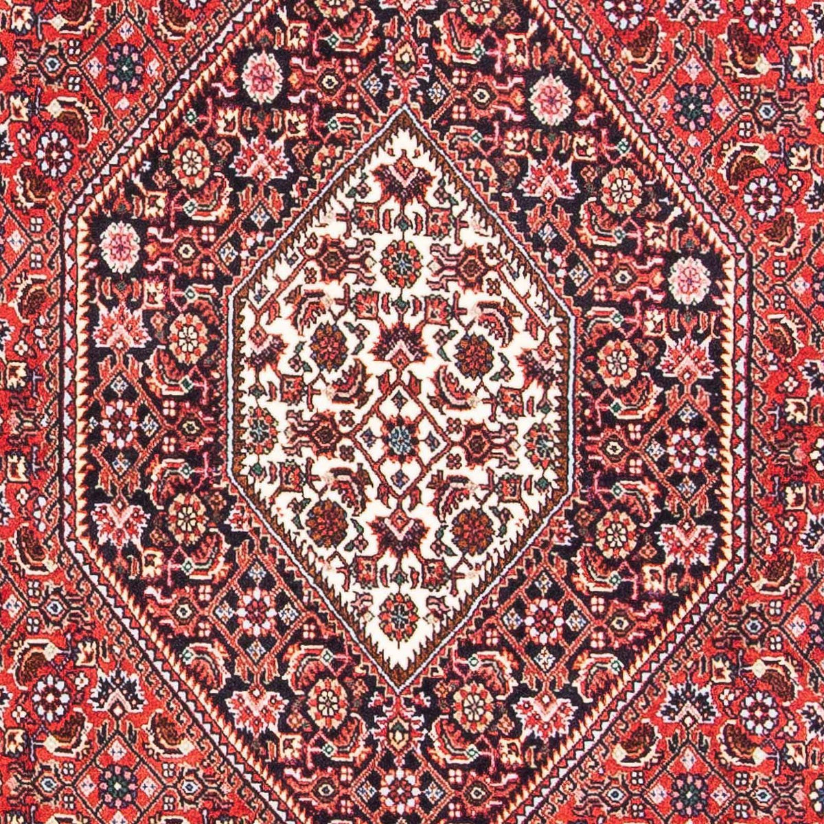 Tappeto Persero - Bidjar - 186 x 110 cm - rosso