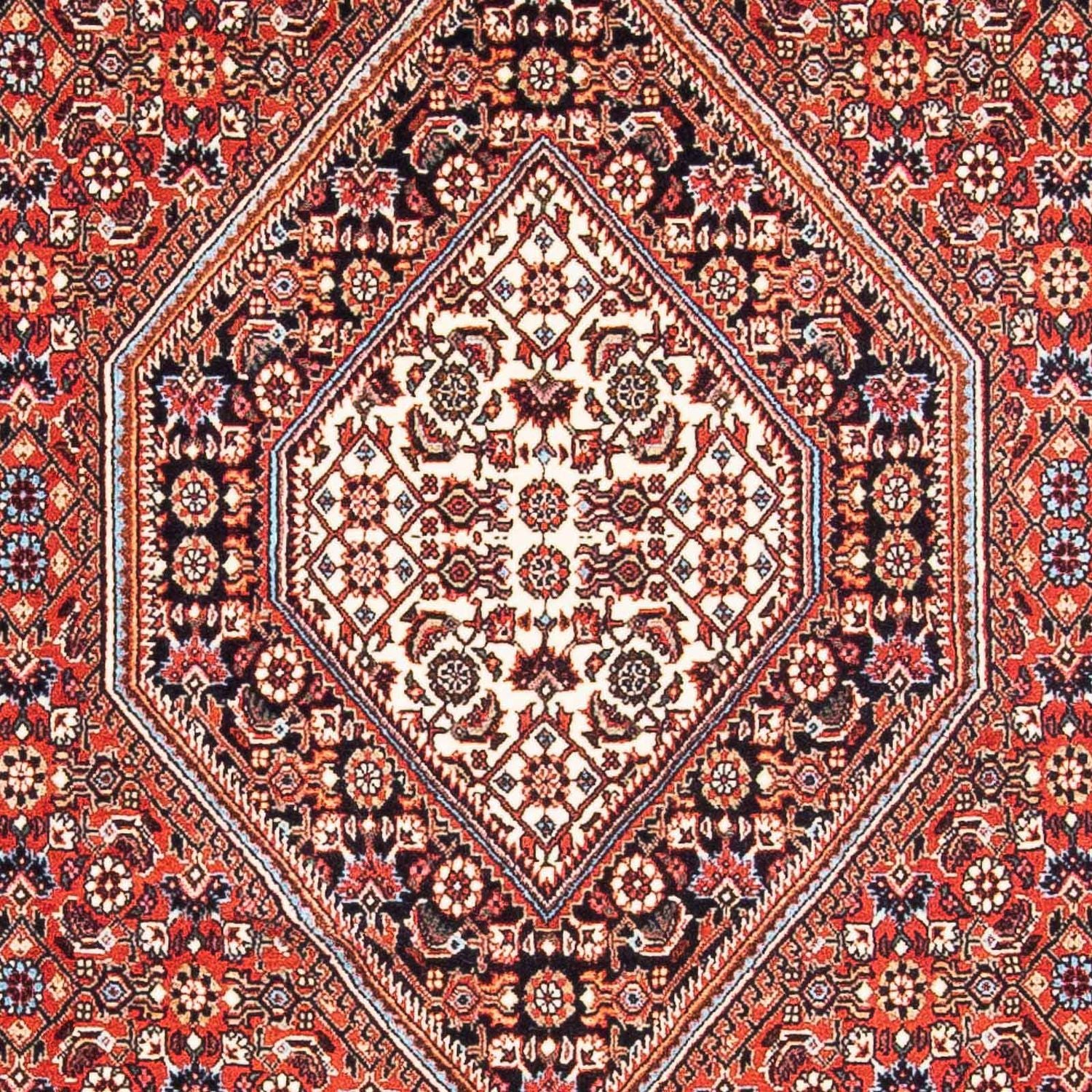 Tappeto Persero - Bidjar - 186 x 109 cm - rosso