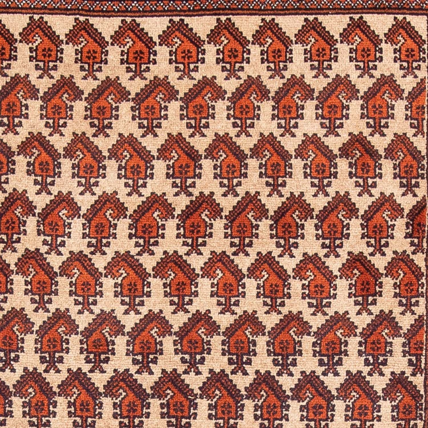 Tappeto corsia Tappeto Belutsch - 178 x 100 cm - beige