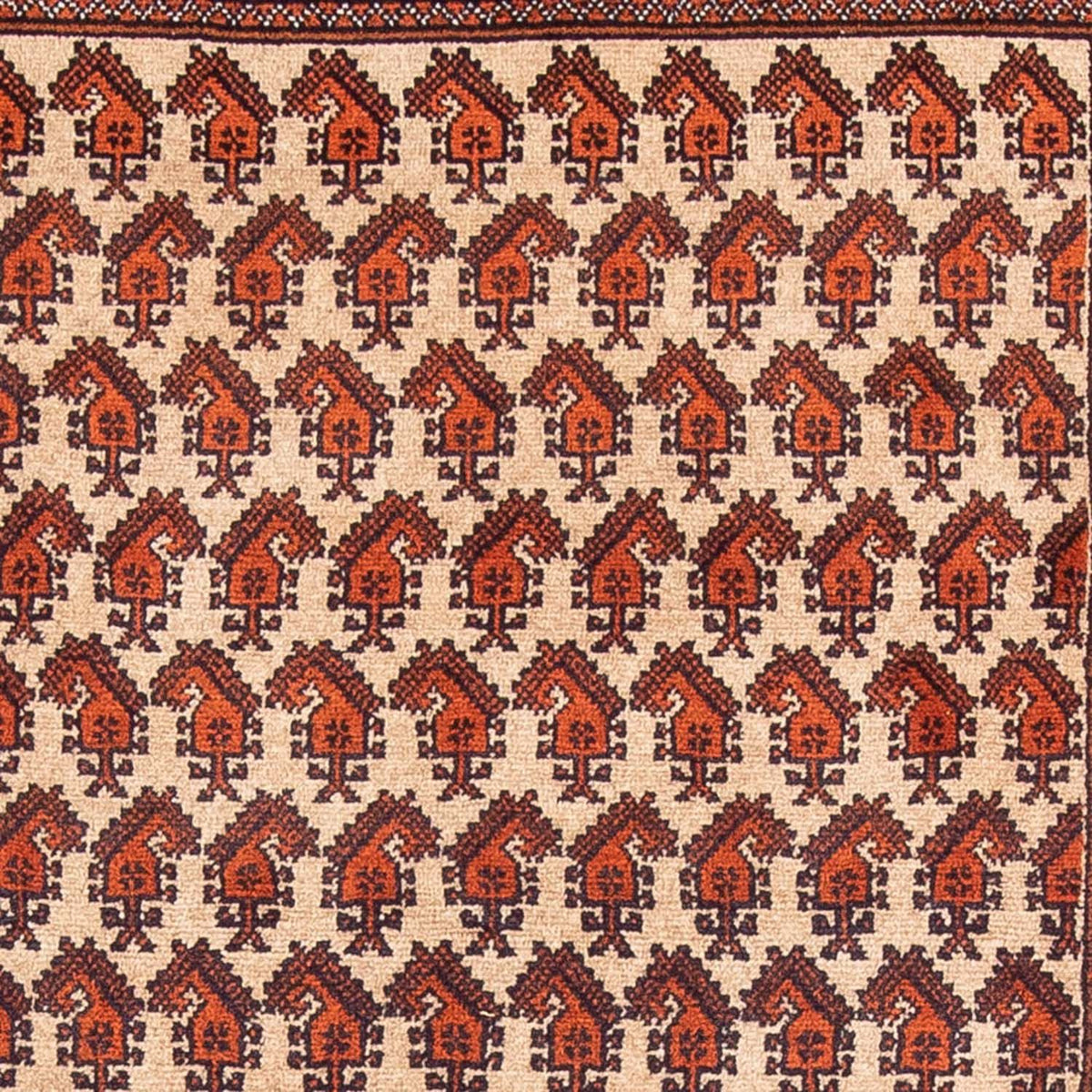 Tappeto corsia Tappeto Belutsch - 178 x 100 cm - beige