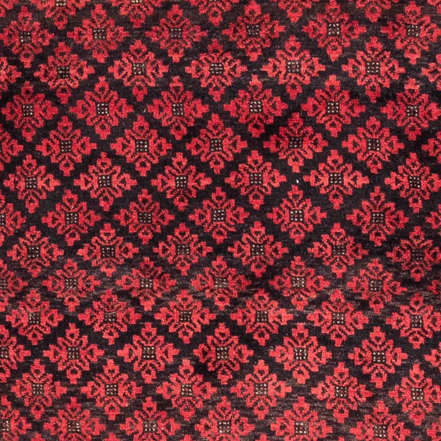 Tappeto corsia Tappeto Belutsch - 181 x 100 cm - rosso