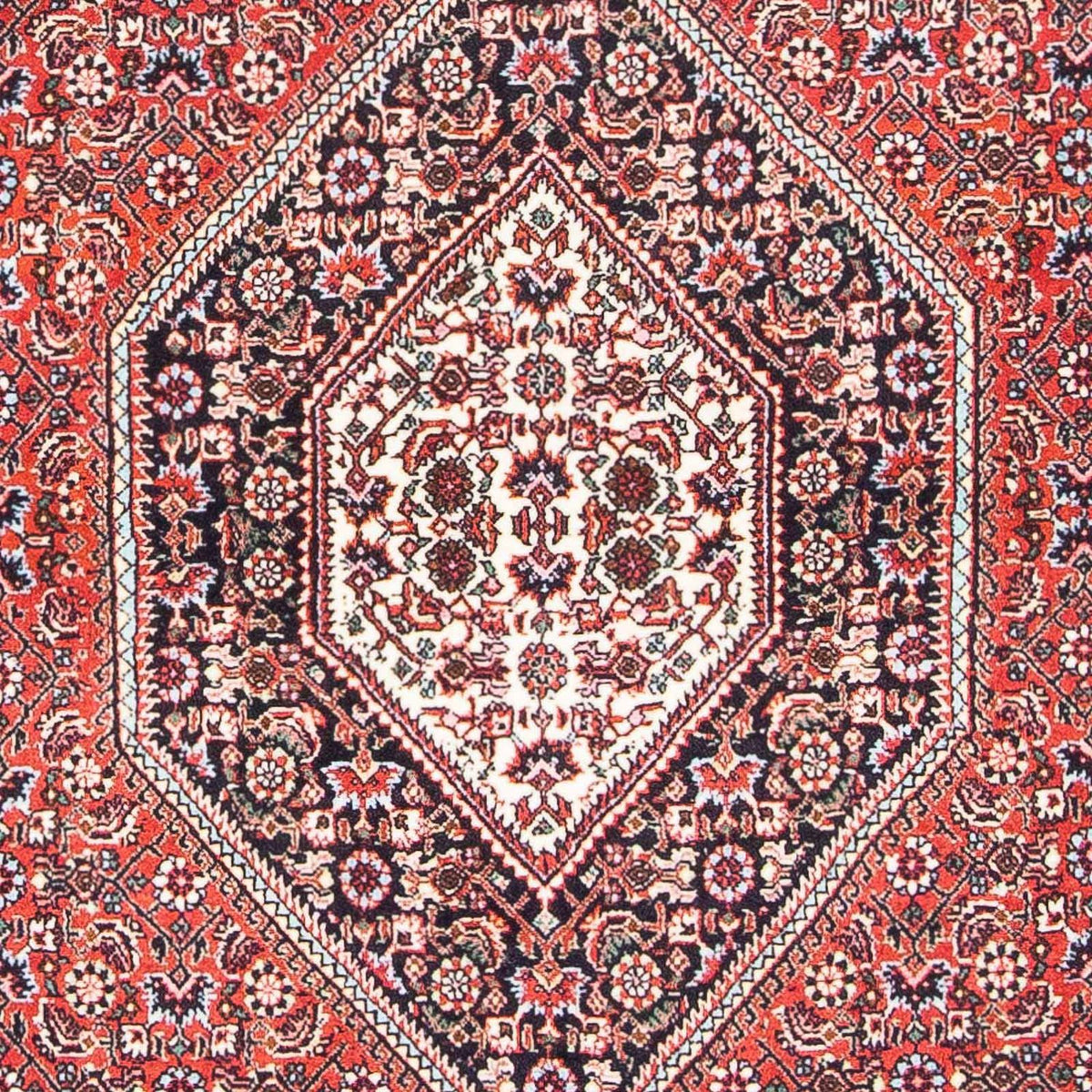 Tappeto Persero - Bidjar - 175 x 108 cm - rosso