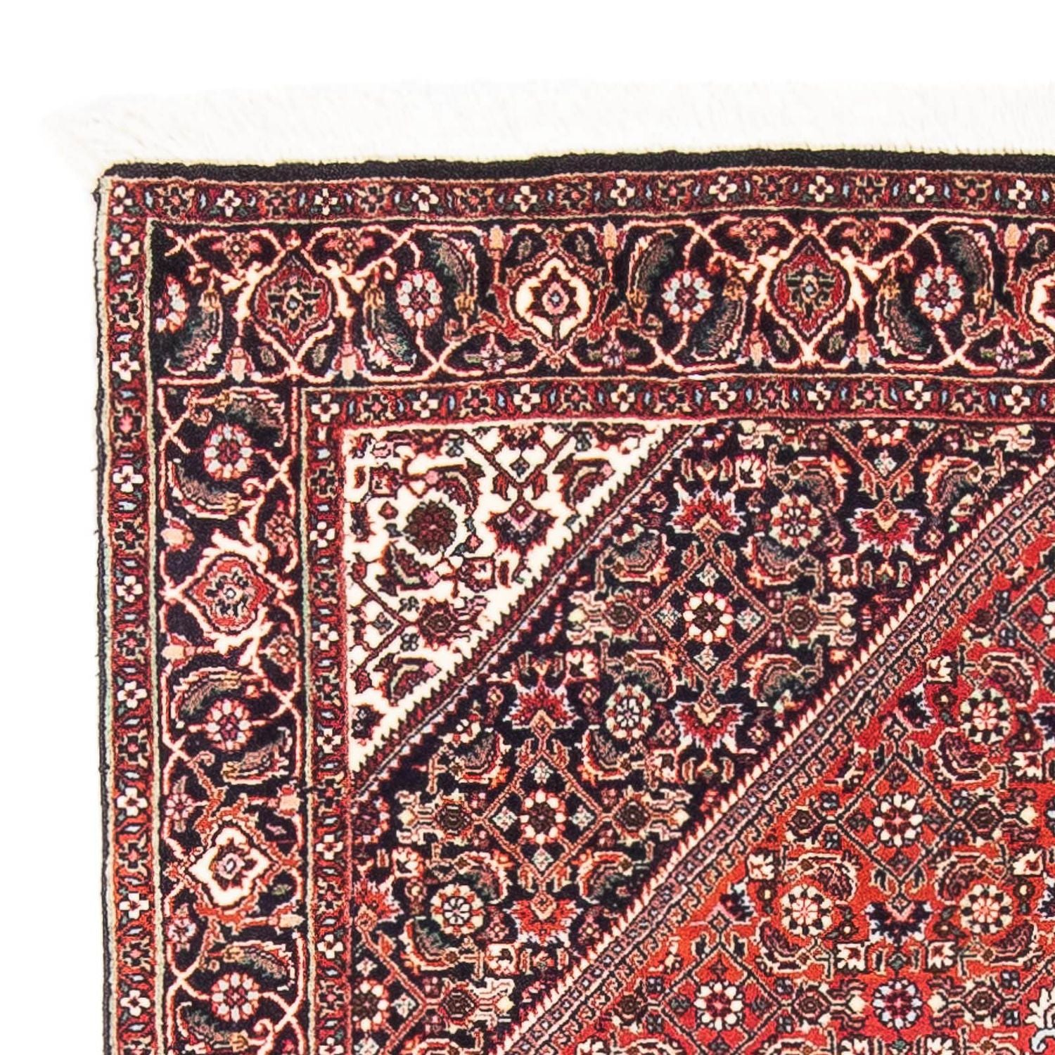 Tappeto Persero - Bidjar - 175 x 108 cm - rosso