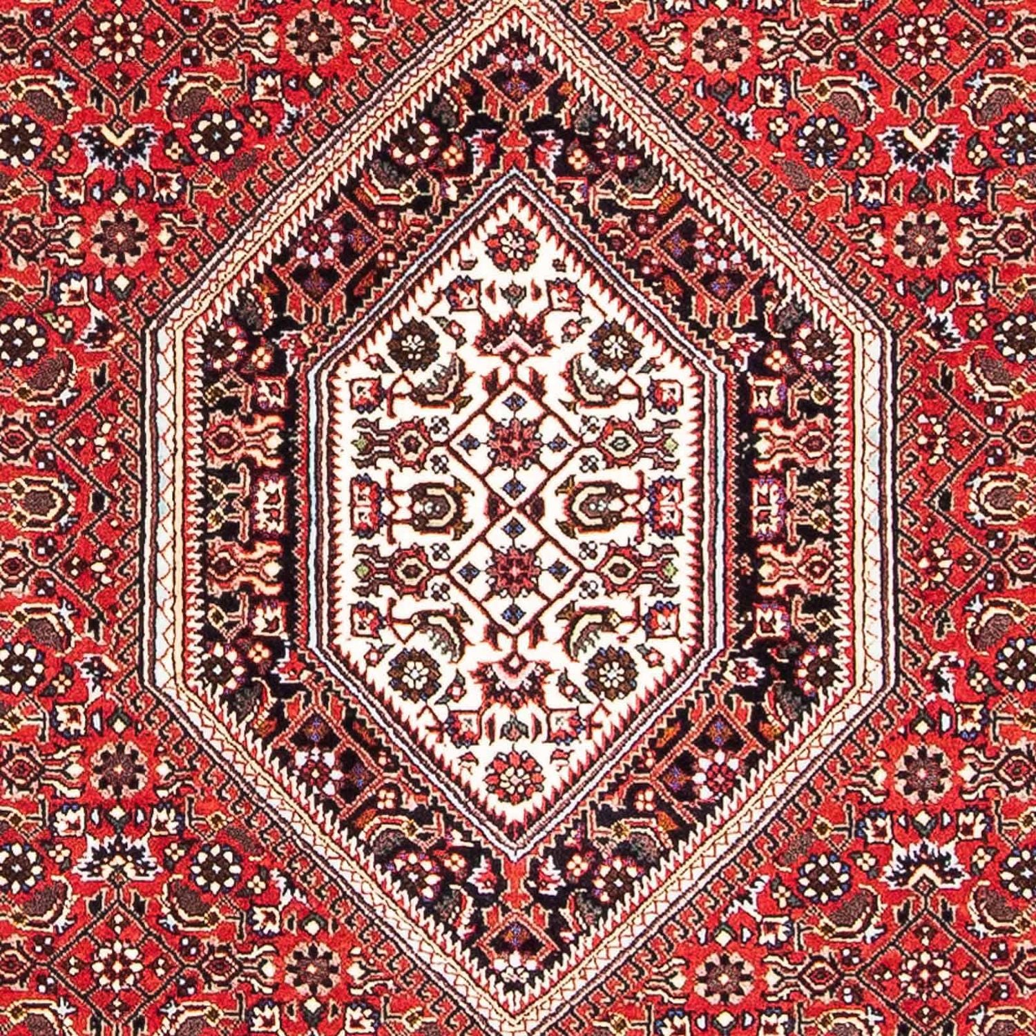 Tappeto Persero - Bidjar - 167 x 108 cm - rosso