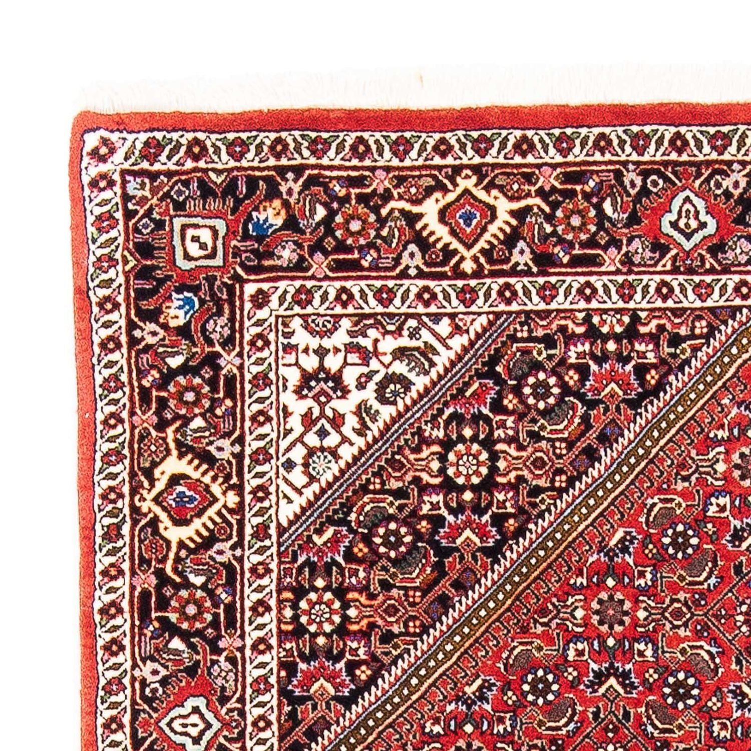 Tappeto Persero - Bidjar - 167 x 108 cm - rosso