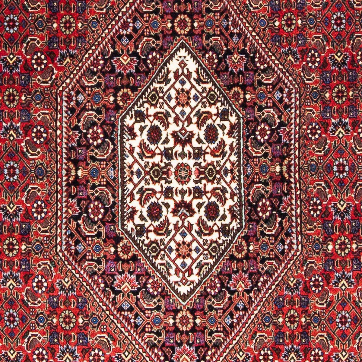 Tappeto Persero - Bidjar - 176 x 112 cm - rosso