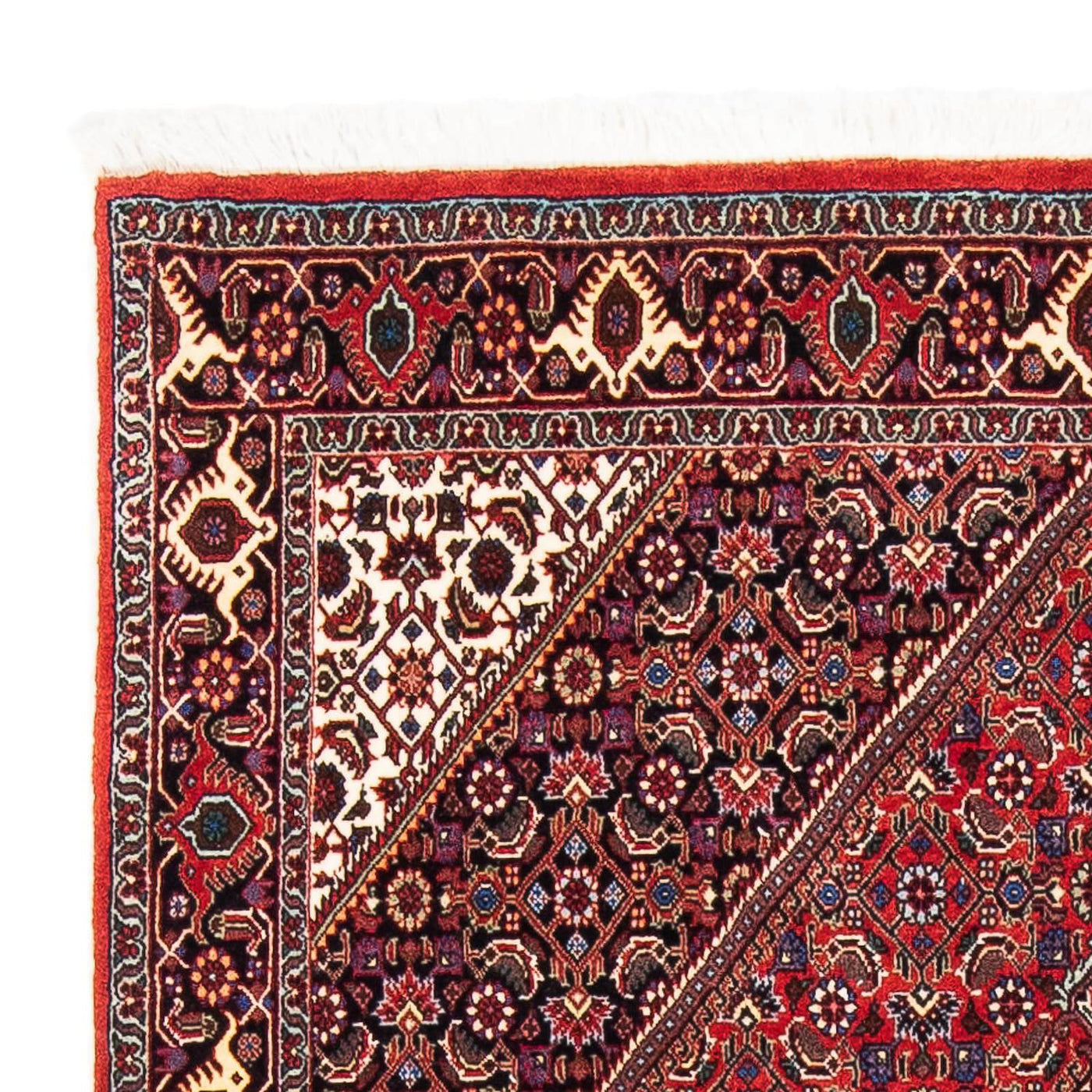 Tappeto Persero - Bidjar - 176 x 112 cm - rosso