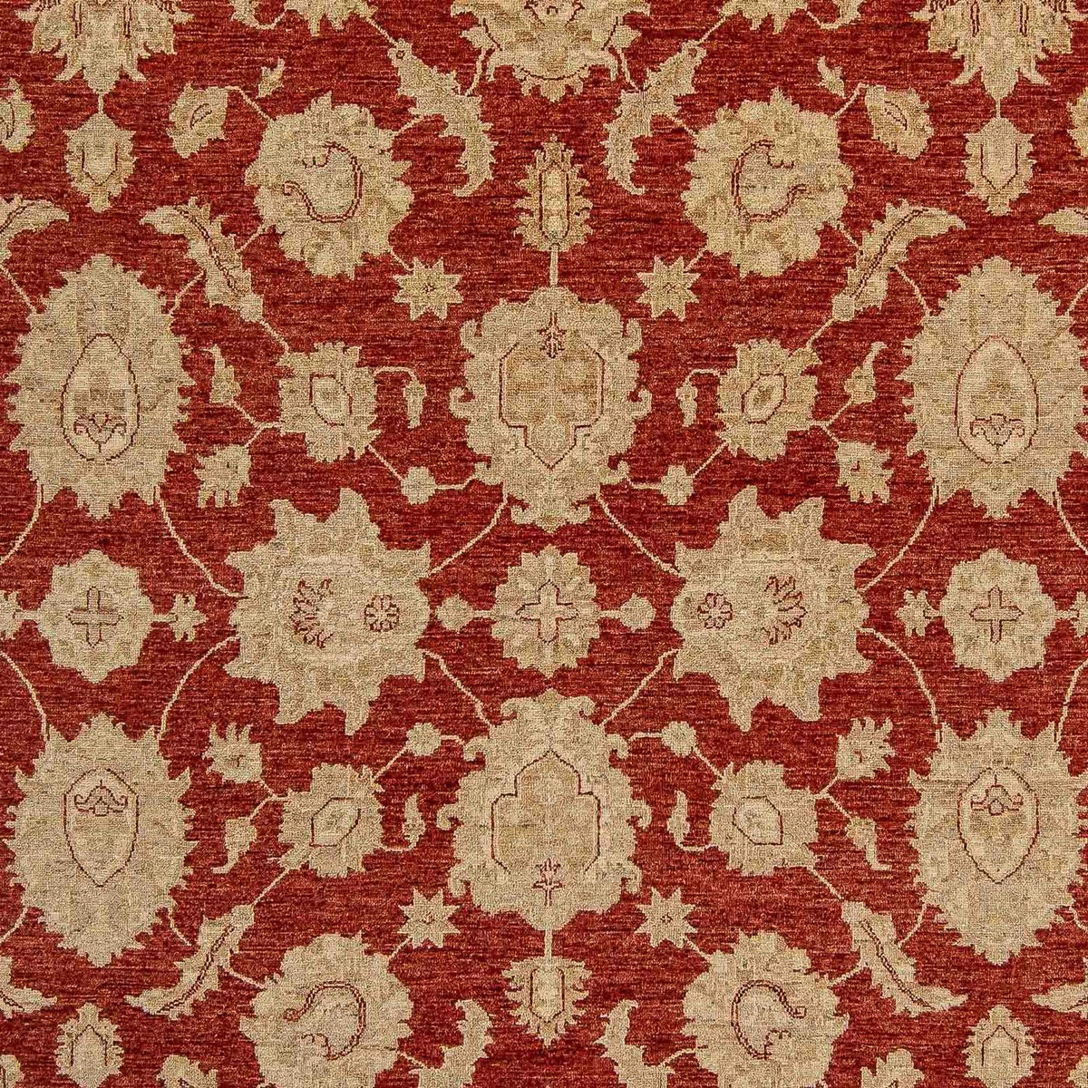 Tappeto Ziegler - 321 x 244 cm - rosso scuro