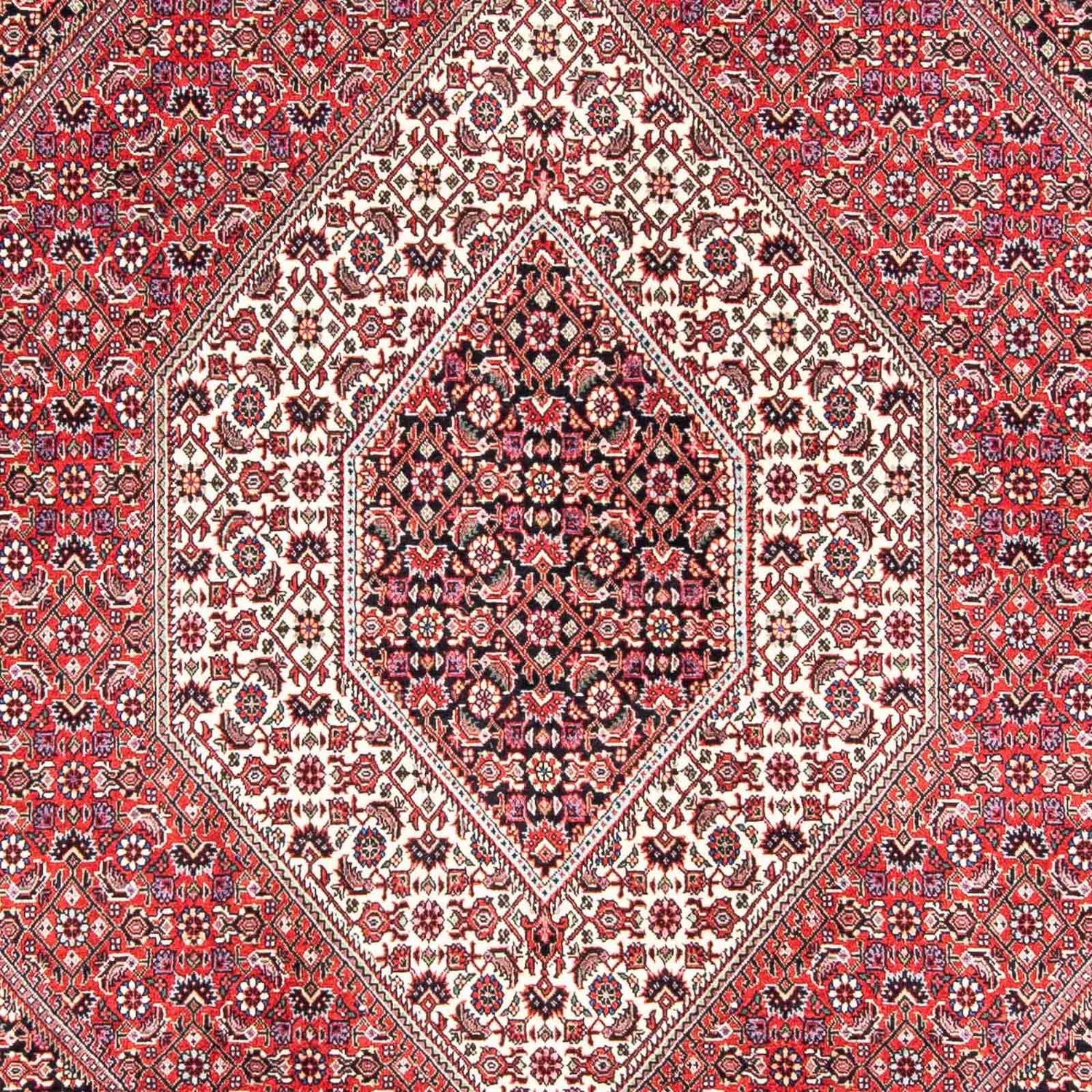 Tappeto Persero - Bidjar - 243 x 171 cm - rosso chiaro
