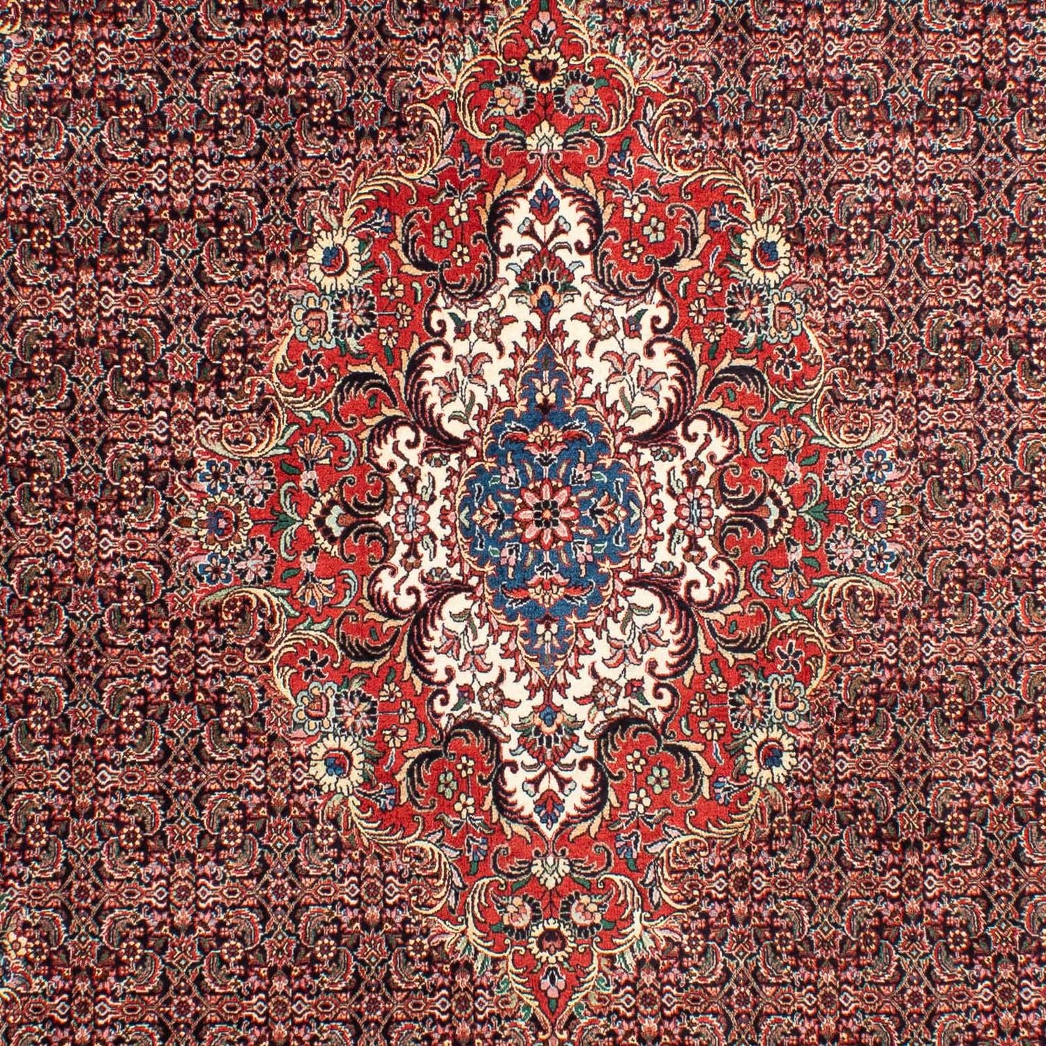 Tappeto Persero - Bidjar - 304 x 198 cm - rosso chiaro