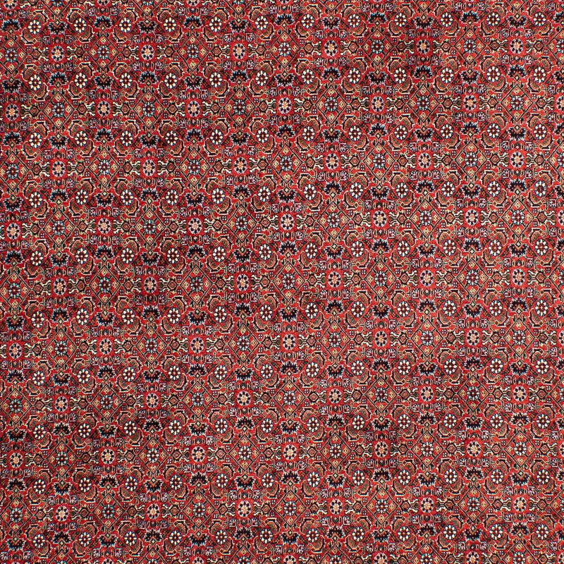 Tappeto Persero - Bidjar - 299 x 203 cm - rosso chiaro