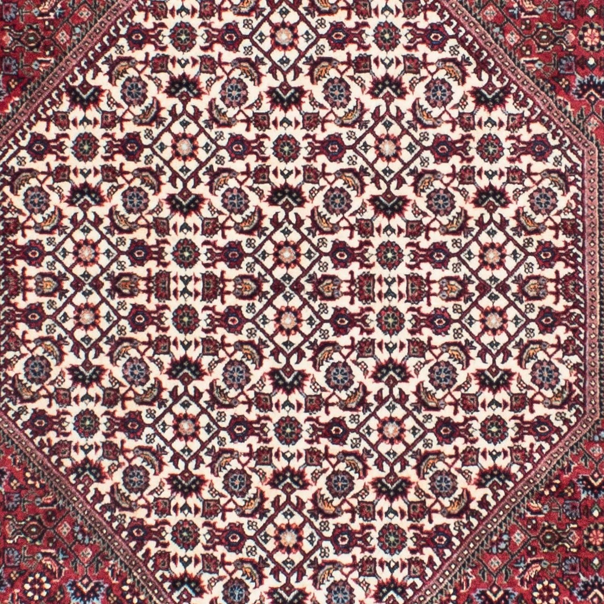 Tappeto corsia Tappeto Persero - Bidjar - 306 x 91 cm - beige