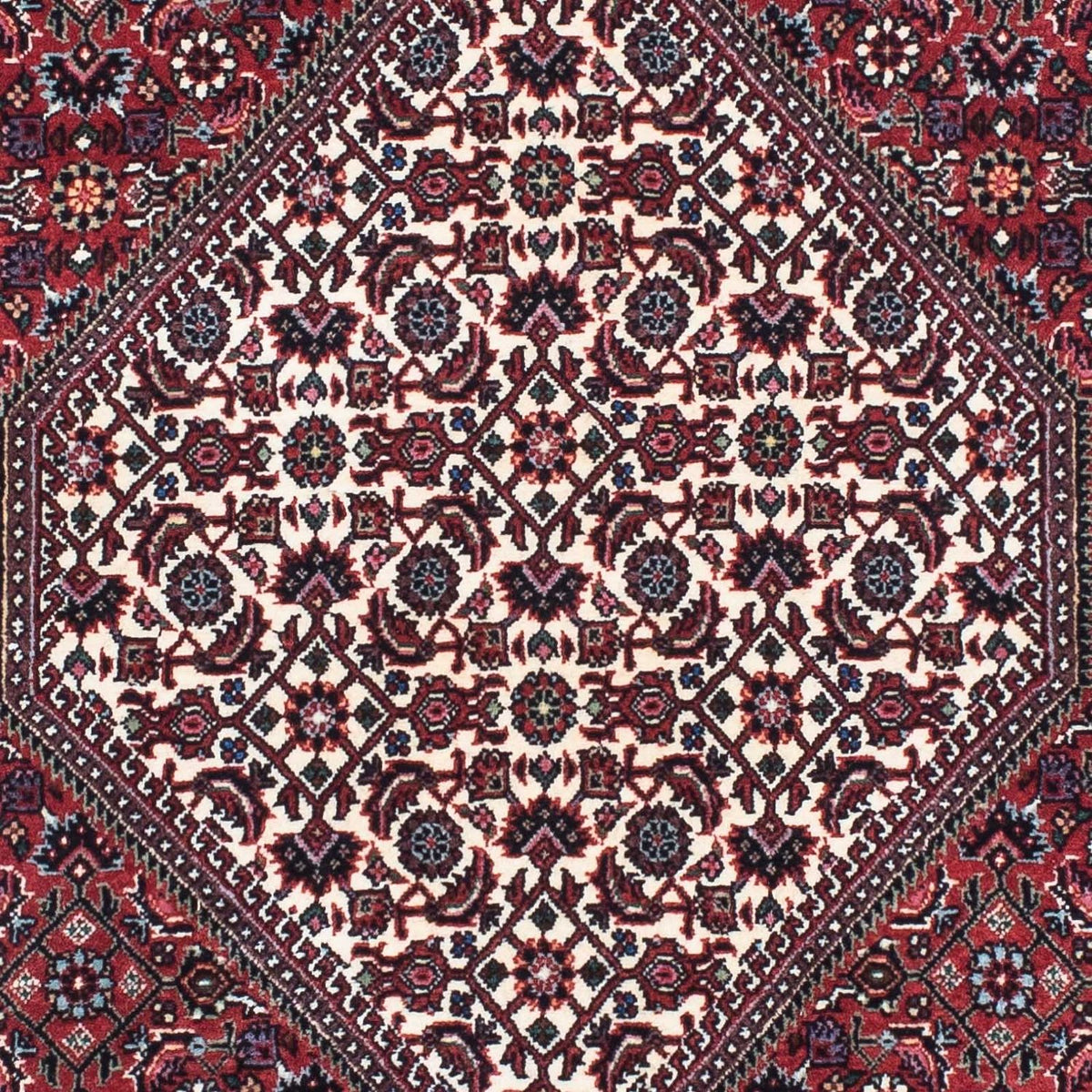 Tappeto corsia Tappeto Persero - Bidjar - 231 x 74 cm - beige