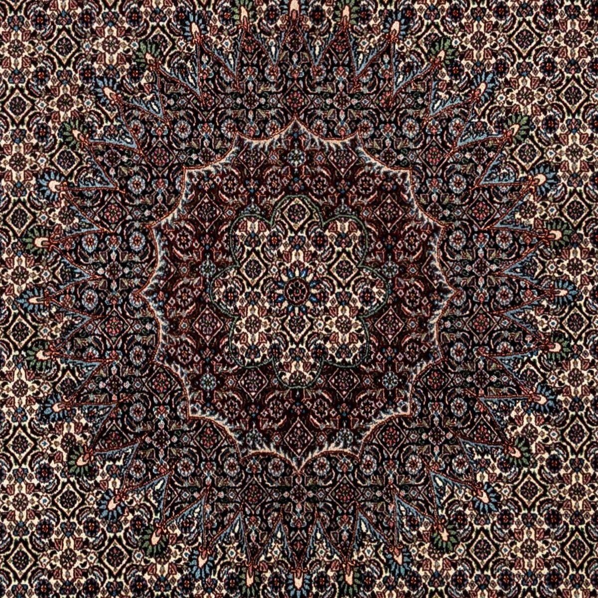 Tappeto Persero - Classico - 348 x 245 cm - beige