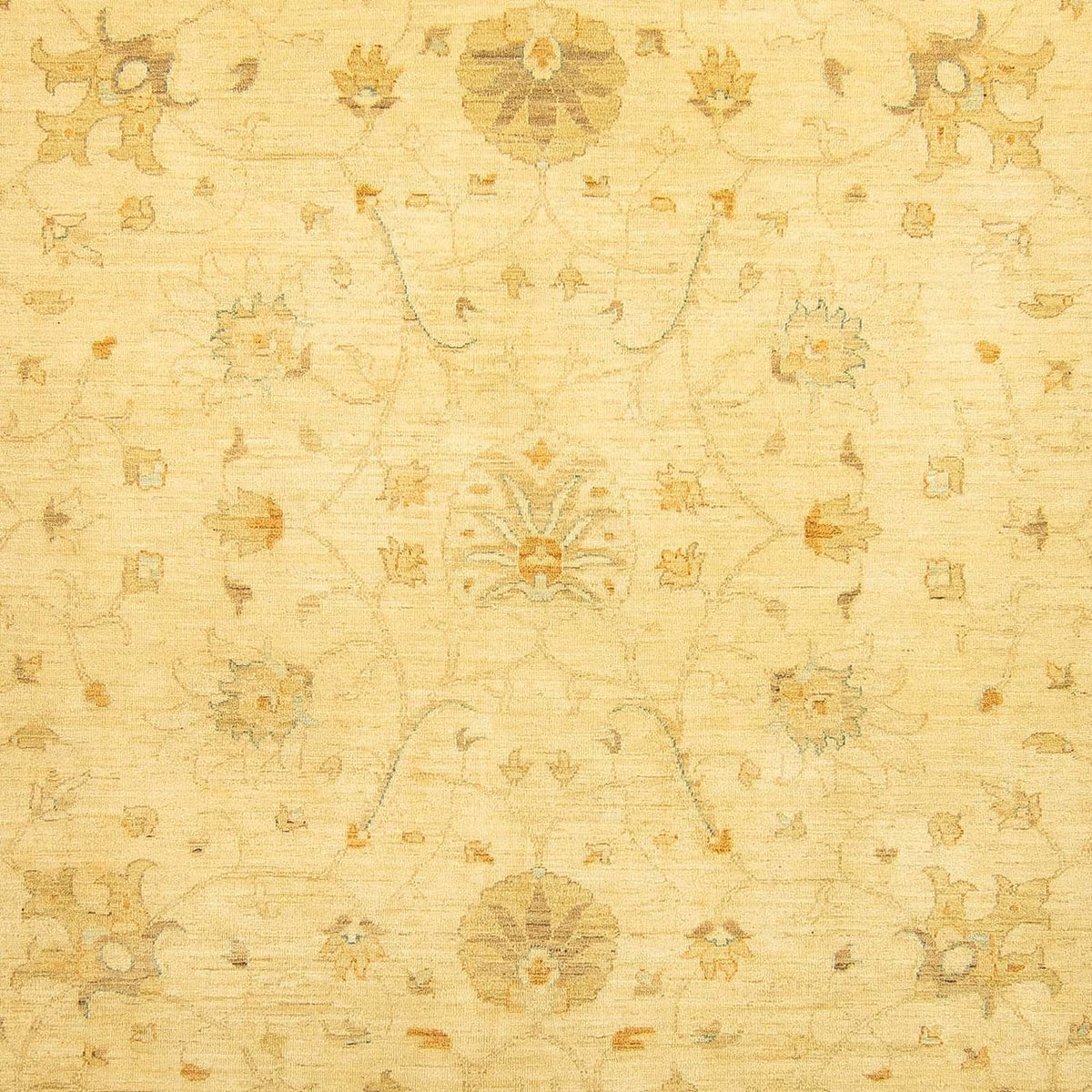 Tappeto Ziegler - 349 x 274 cm - beige