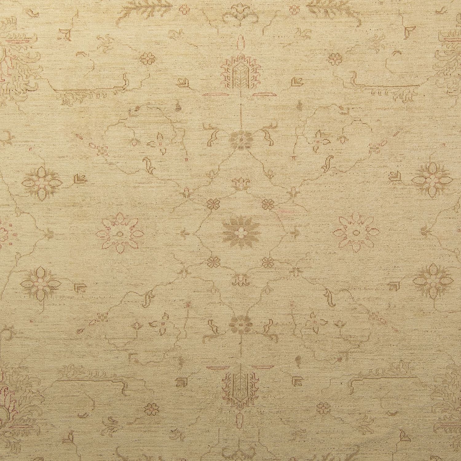Tappeto Ziegler - 339 x 245 cm - beige chiaro