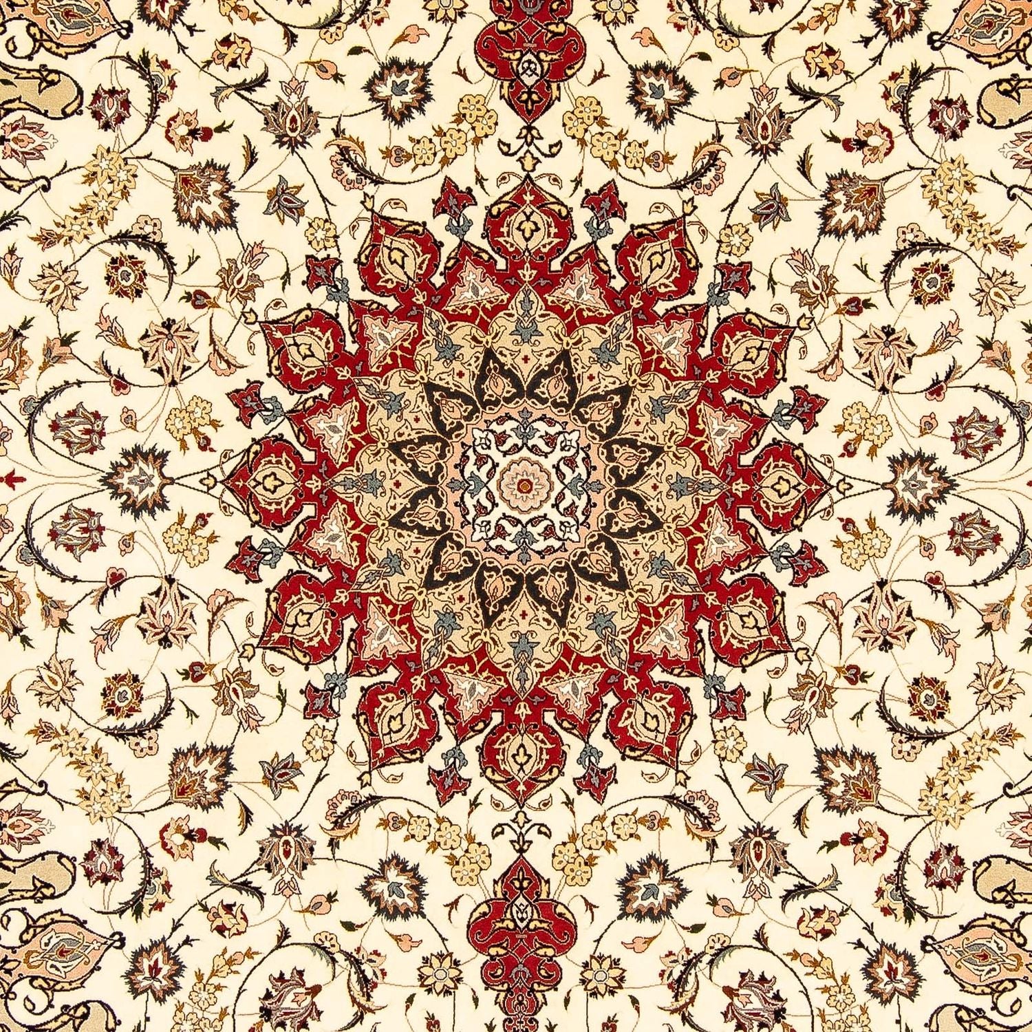 Tappeto Persero - Tabriz - Reale - 350 x 251 cm - beige