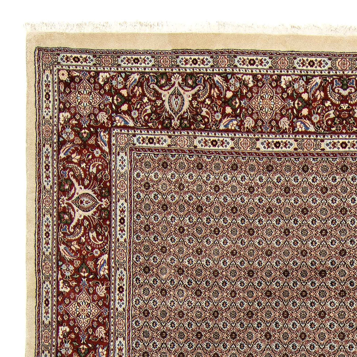 Tappeto Persero - Classico - 345 x 245 cm - multicolore