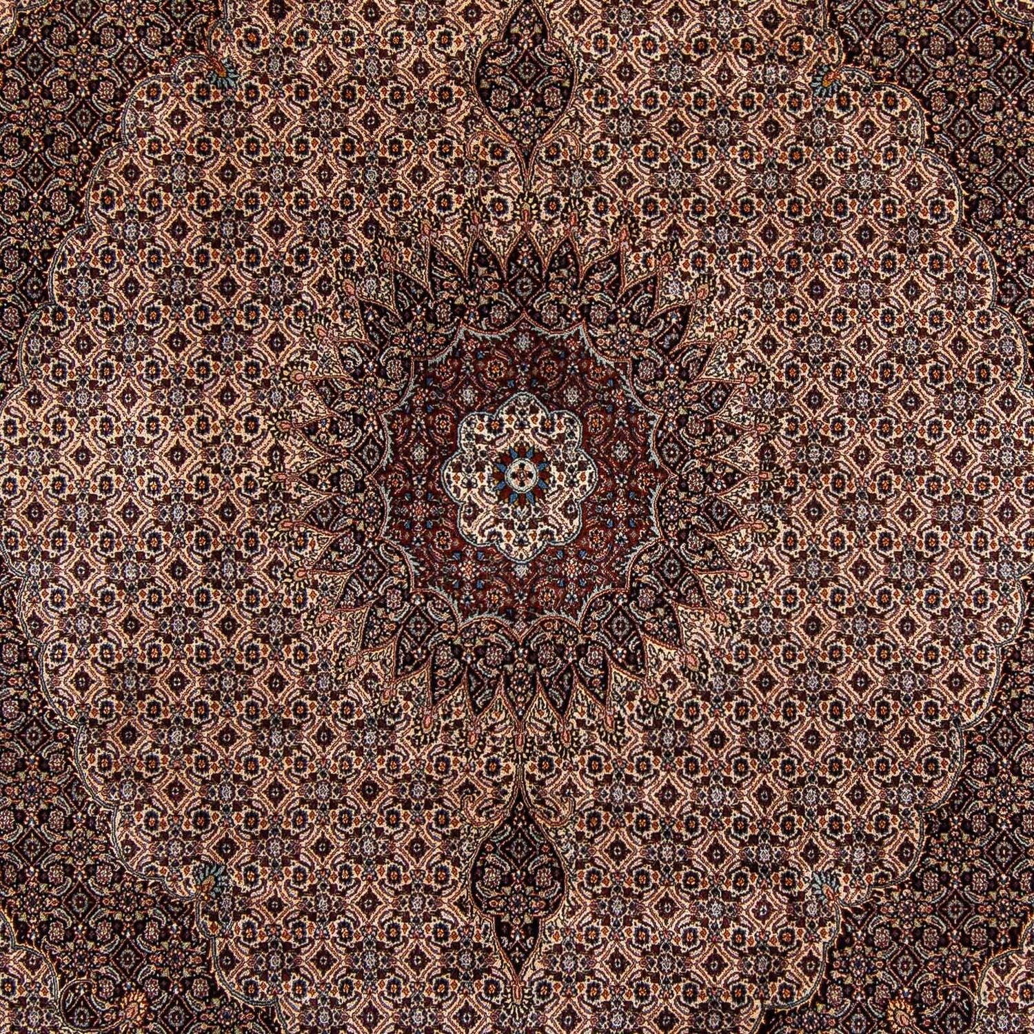 Tappeto Persero - Classico - 305 x 251 cm - marrone scuro