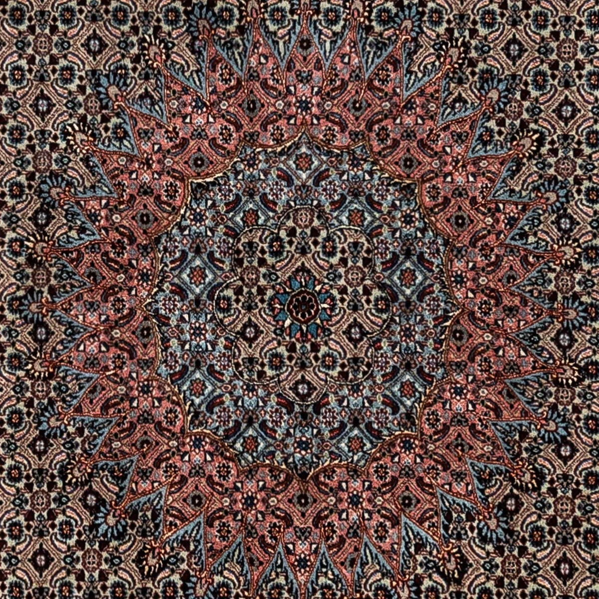 Tappeto Persero - Classico - 347 x 252 cm - cioccolato chiaro