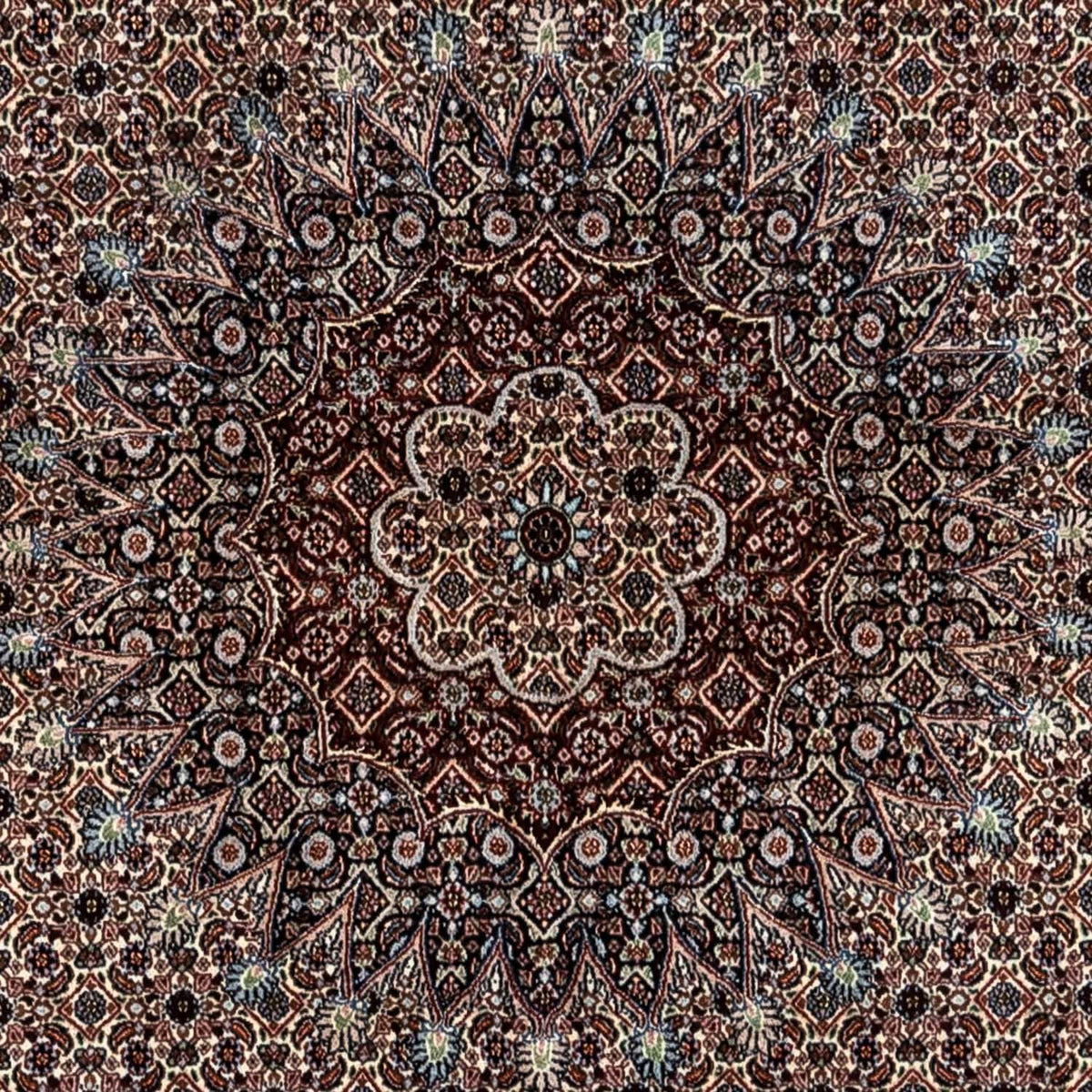 Tappeto Persero - Classico - 344 x 246 cm - beige