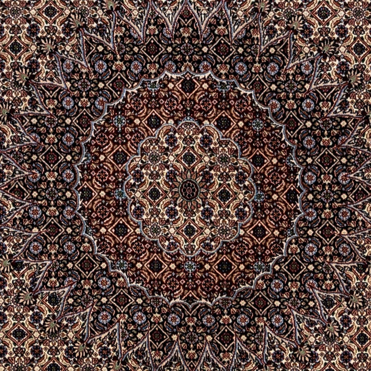 Tappeto Persero - Classico - 345 x 253 cm - beige