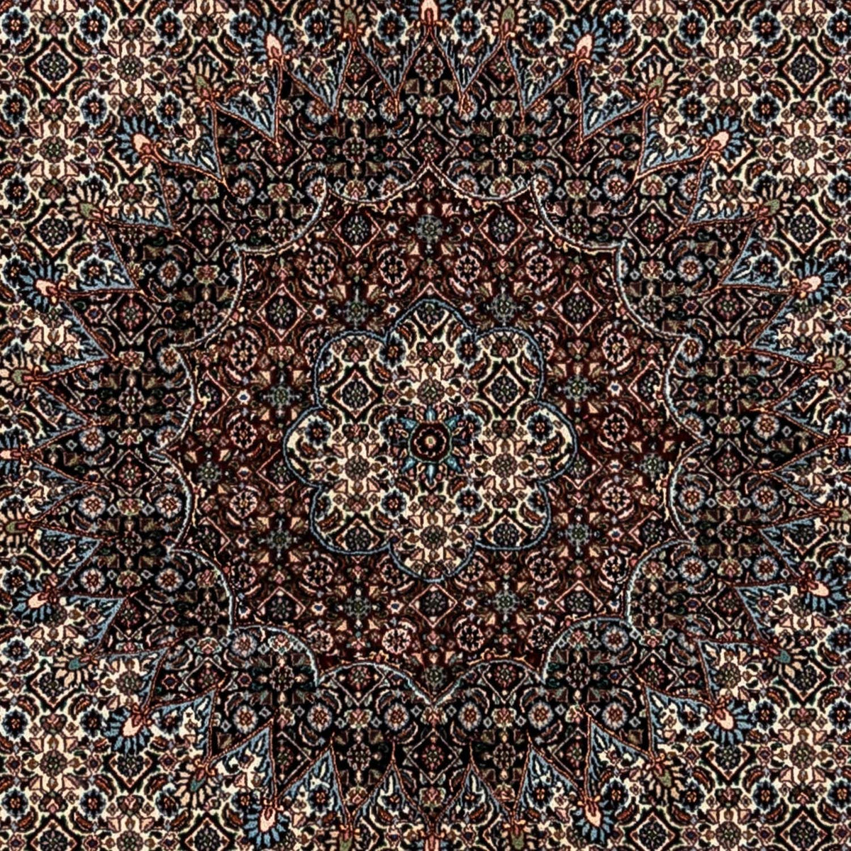 Tappeto Persero - Classico - 353 x 250 cm - beige