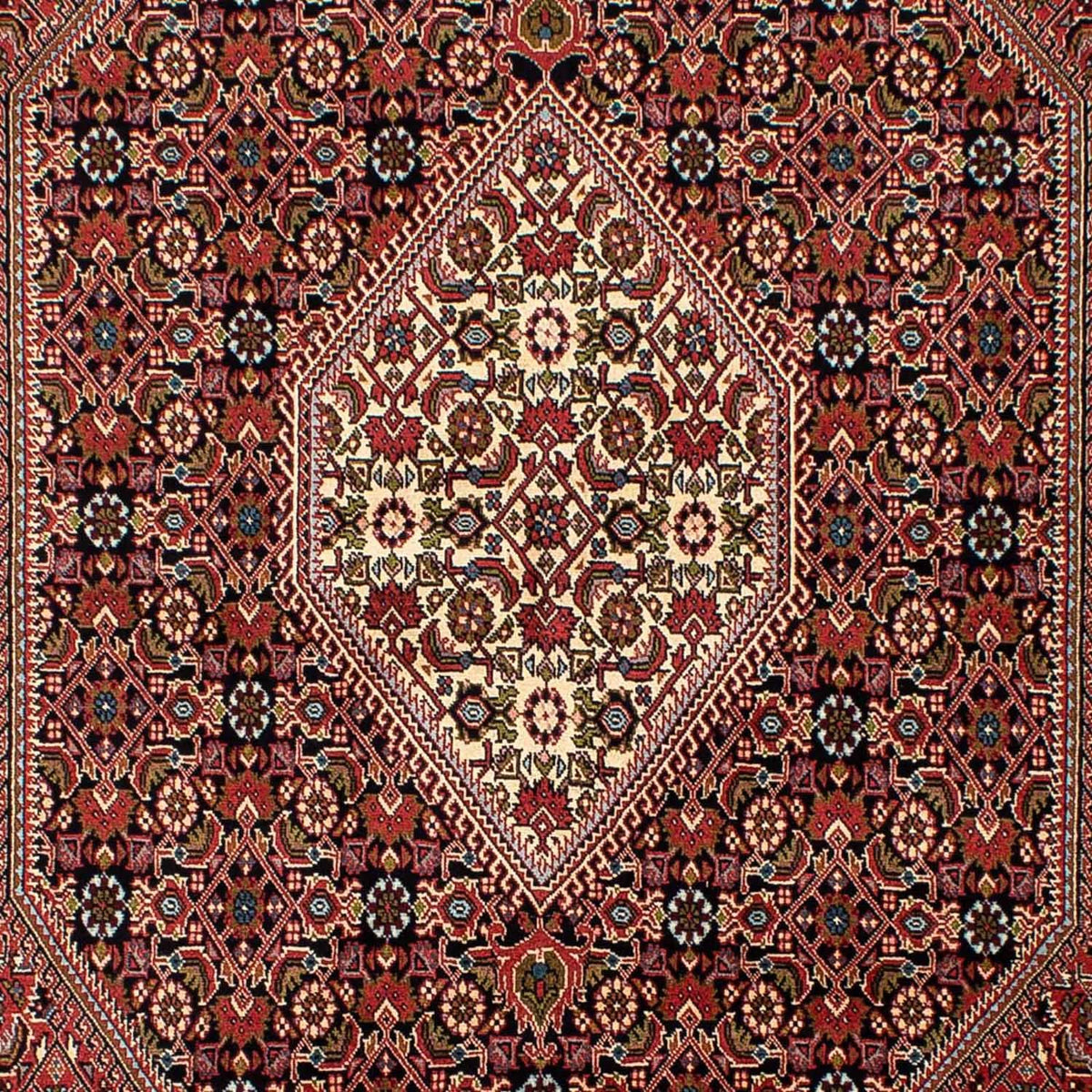 Tappeto Persero - Bidjar - 270 x 171 cm - marrone