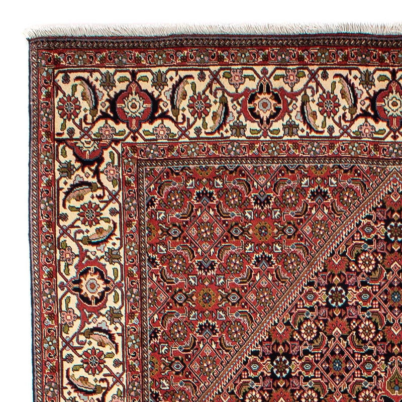 Tappeto Persero - Bidjar - 270 x 171 cm - marrone