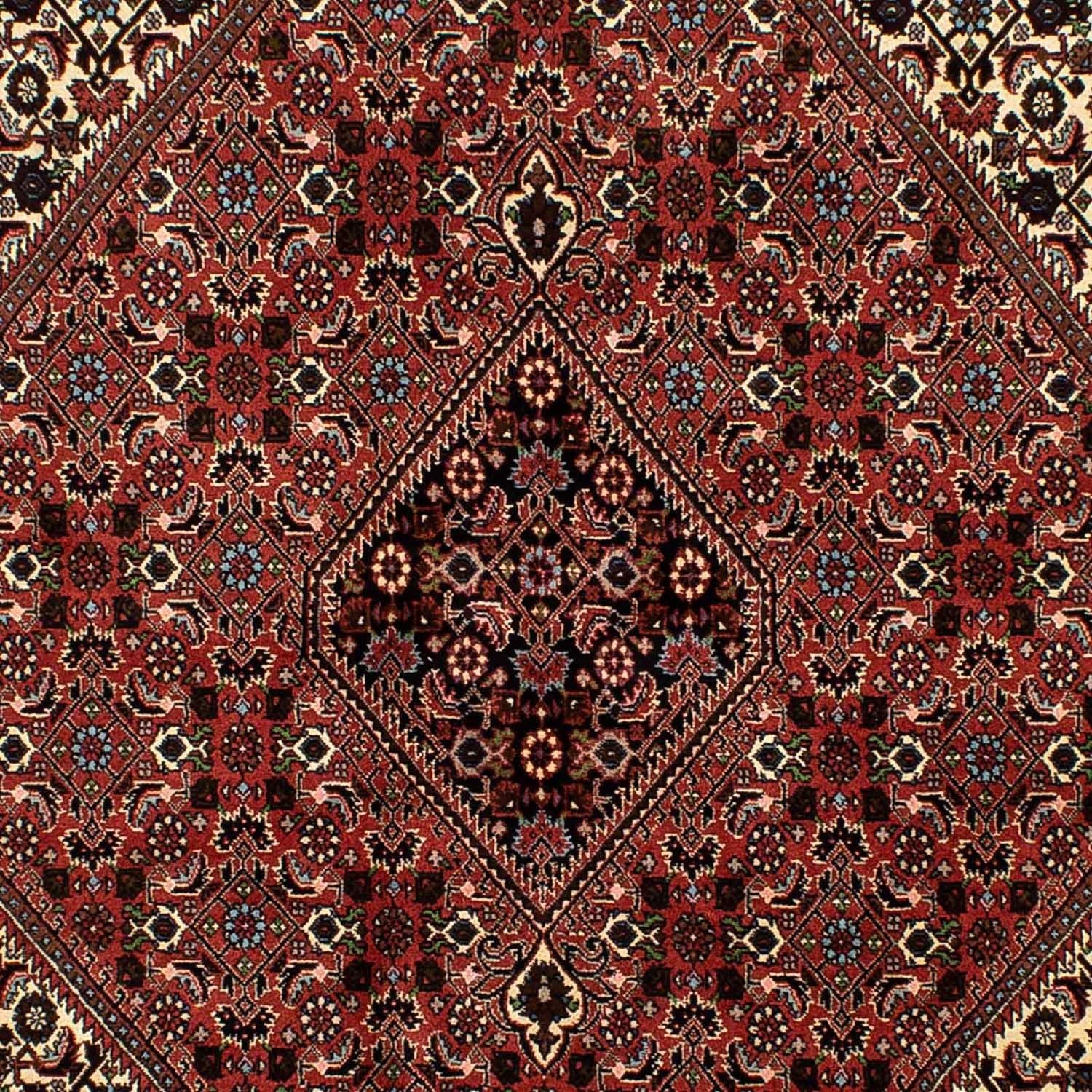 Tappeto Persero - Bidjar - 244 x 171 cm - rosso scuro