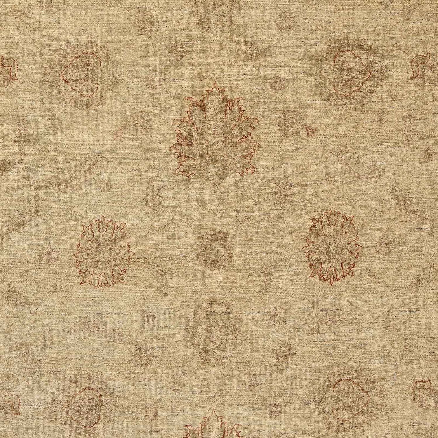 Tappeto Ziegler - 300 x 239 cm - marrone chiaro