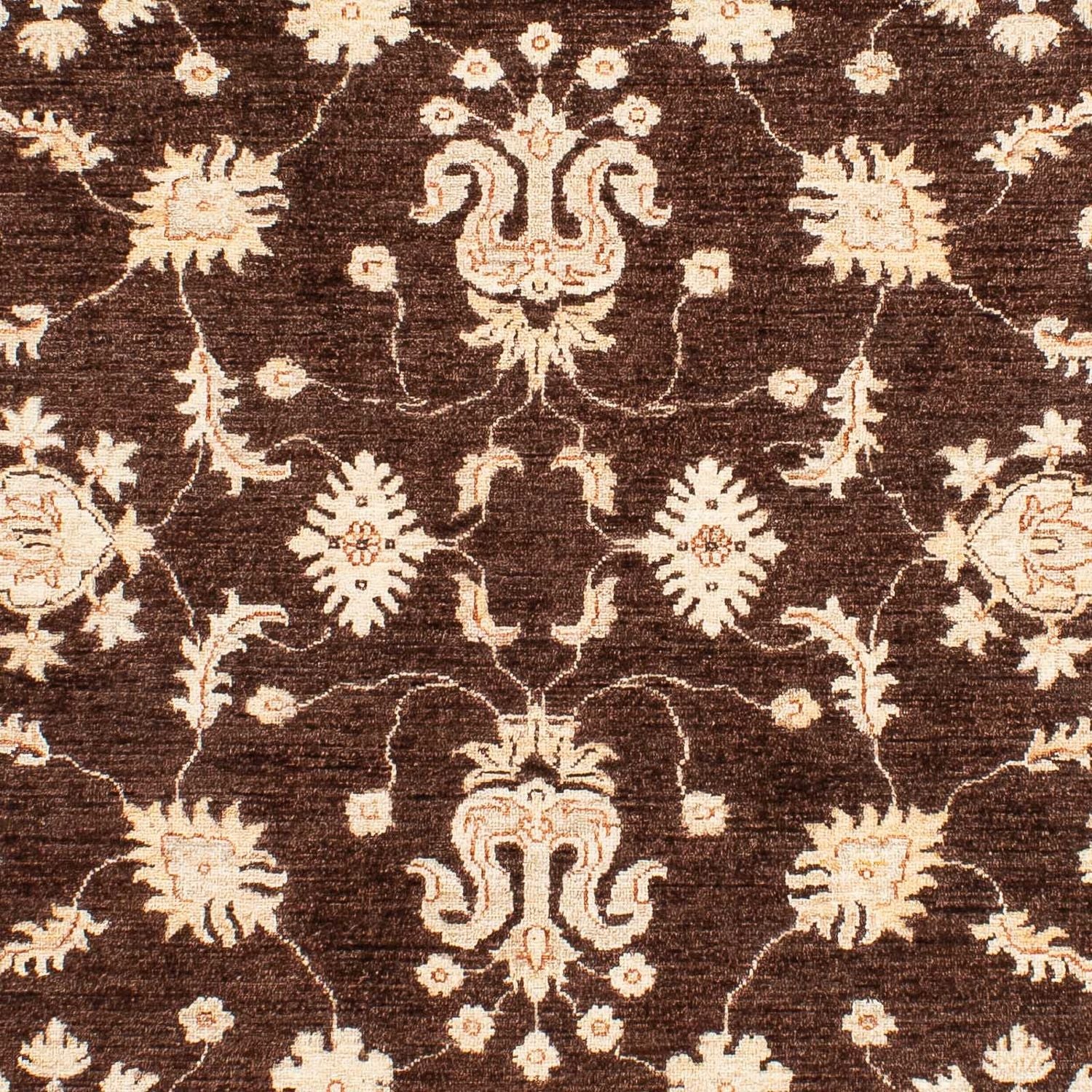 Tappeto Ziegler - 235 x 164 cm - marrone