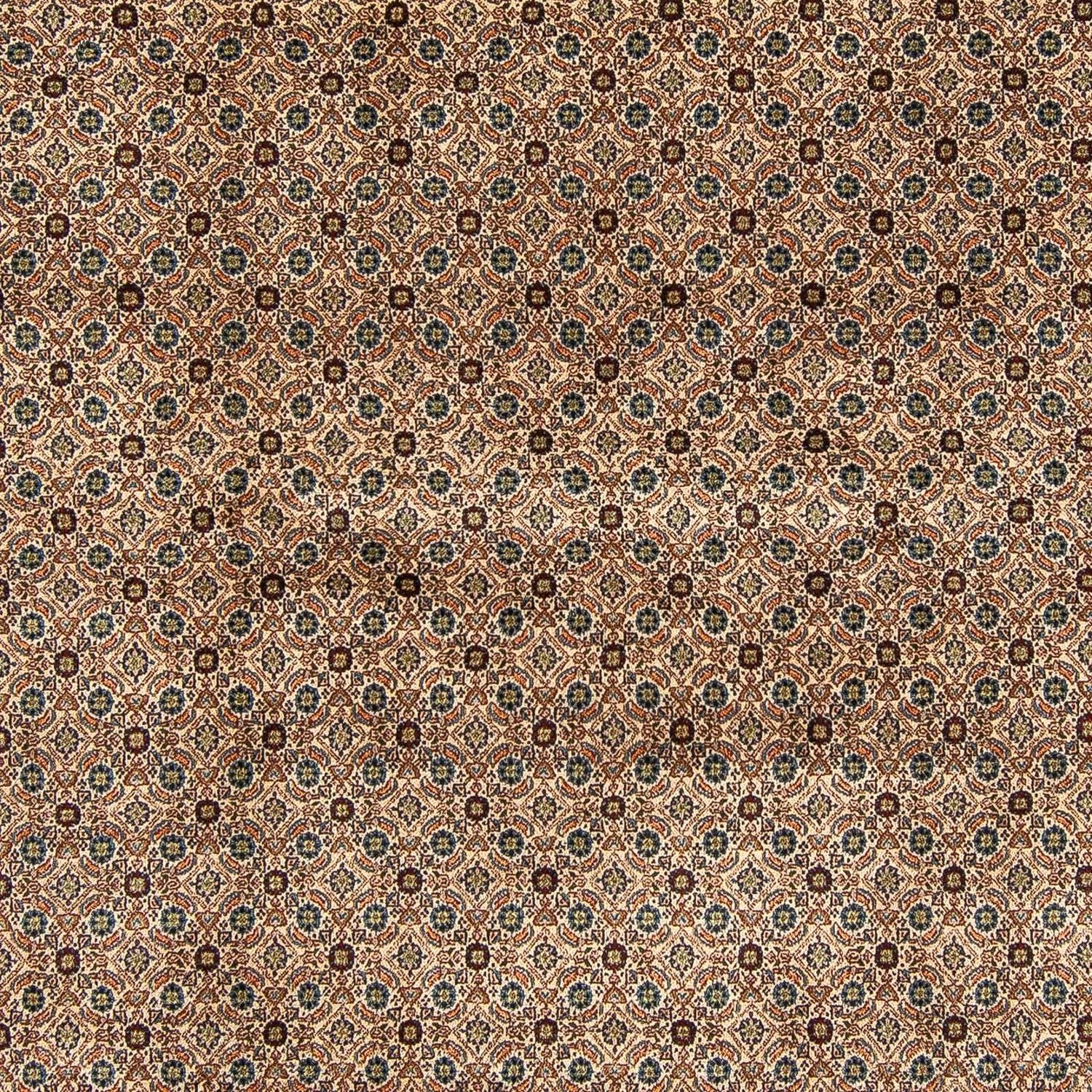 Tappeto Persero - Classico quadrato  - 257 x 248 cm - marrone chiaro