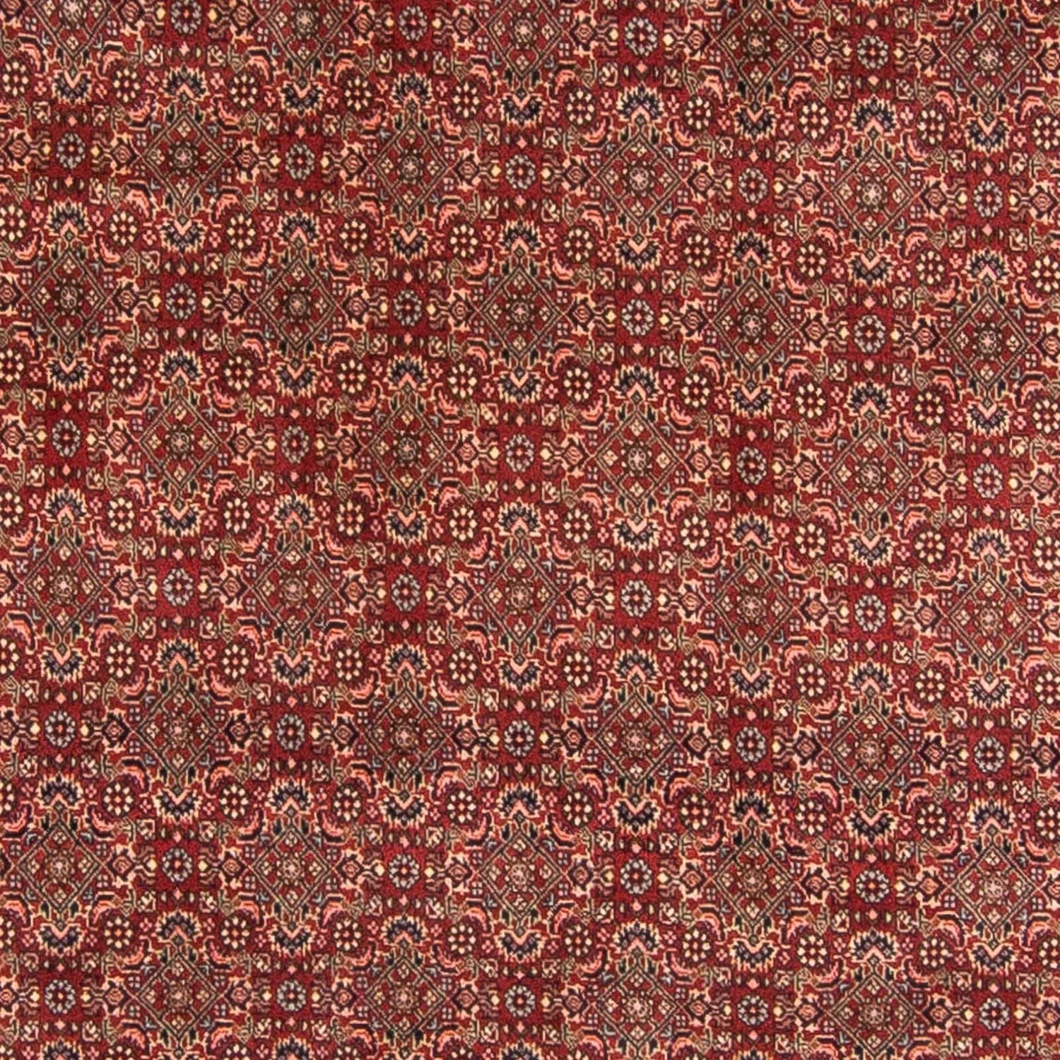 Tappeto Persero - Bidjar - 298 x 200 cm - rosso scuro