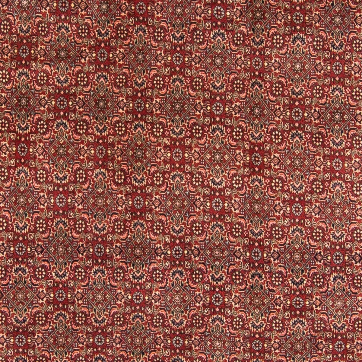 Tappeto Persero - Bidjar - 298 x 200 cm - rosso scuro