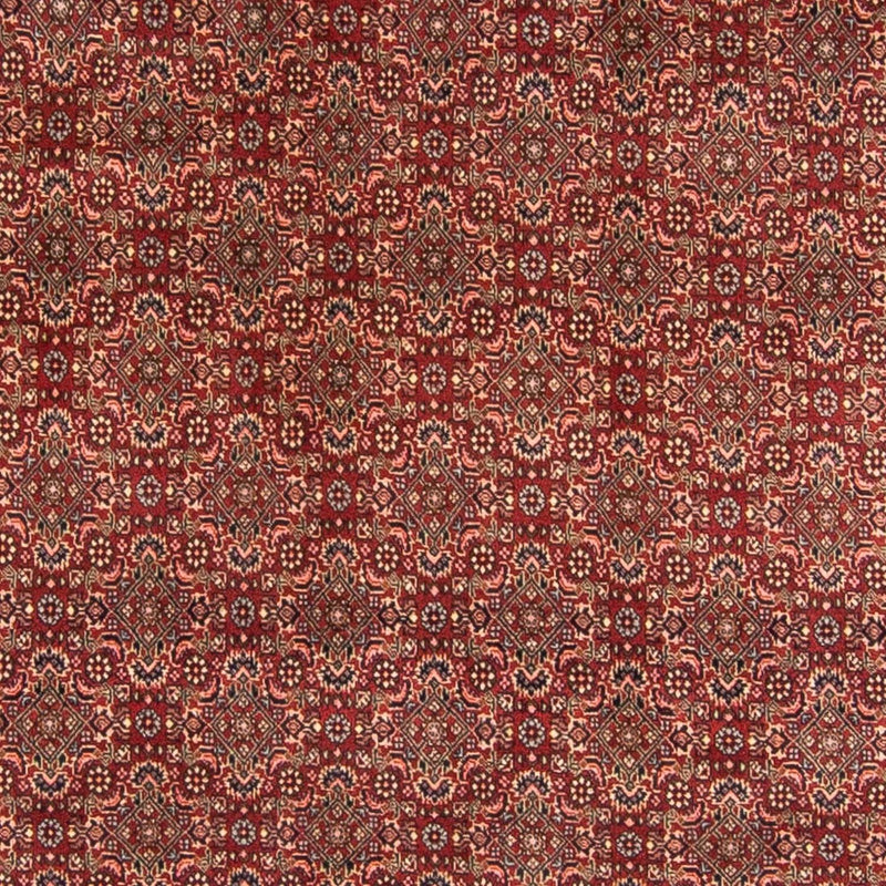 Tappeto Persero - Bidjar - 298 x 200 cm - rosso scuro