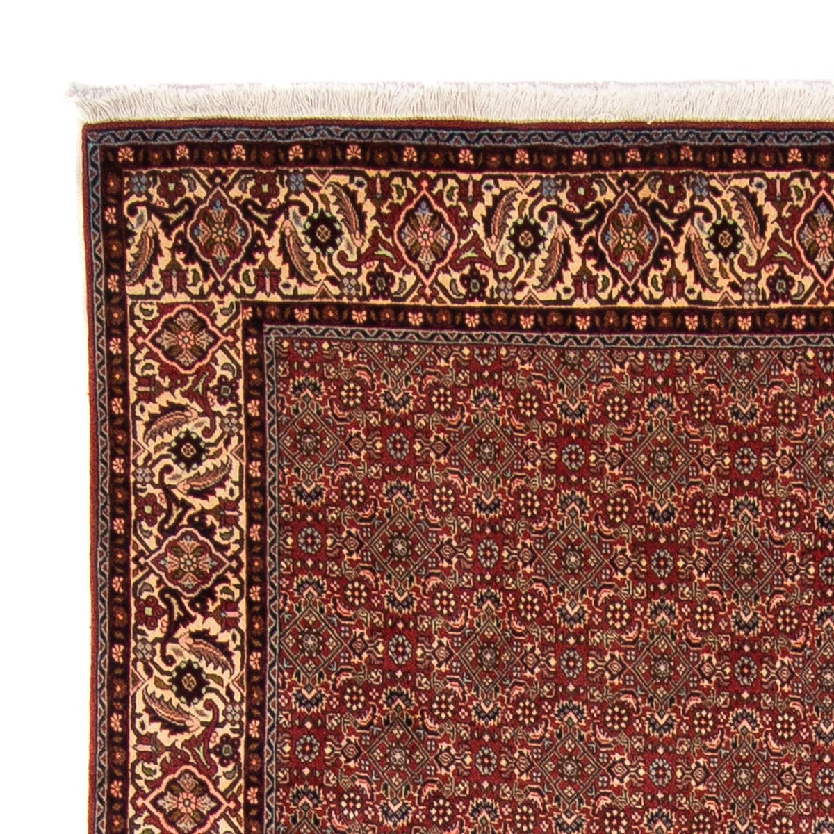 Tappeto Persero - Bidjar - 298 x 200 cm - rosso scuro