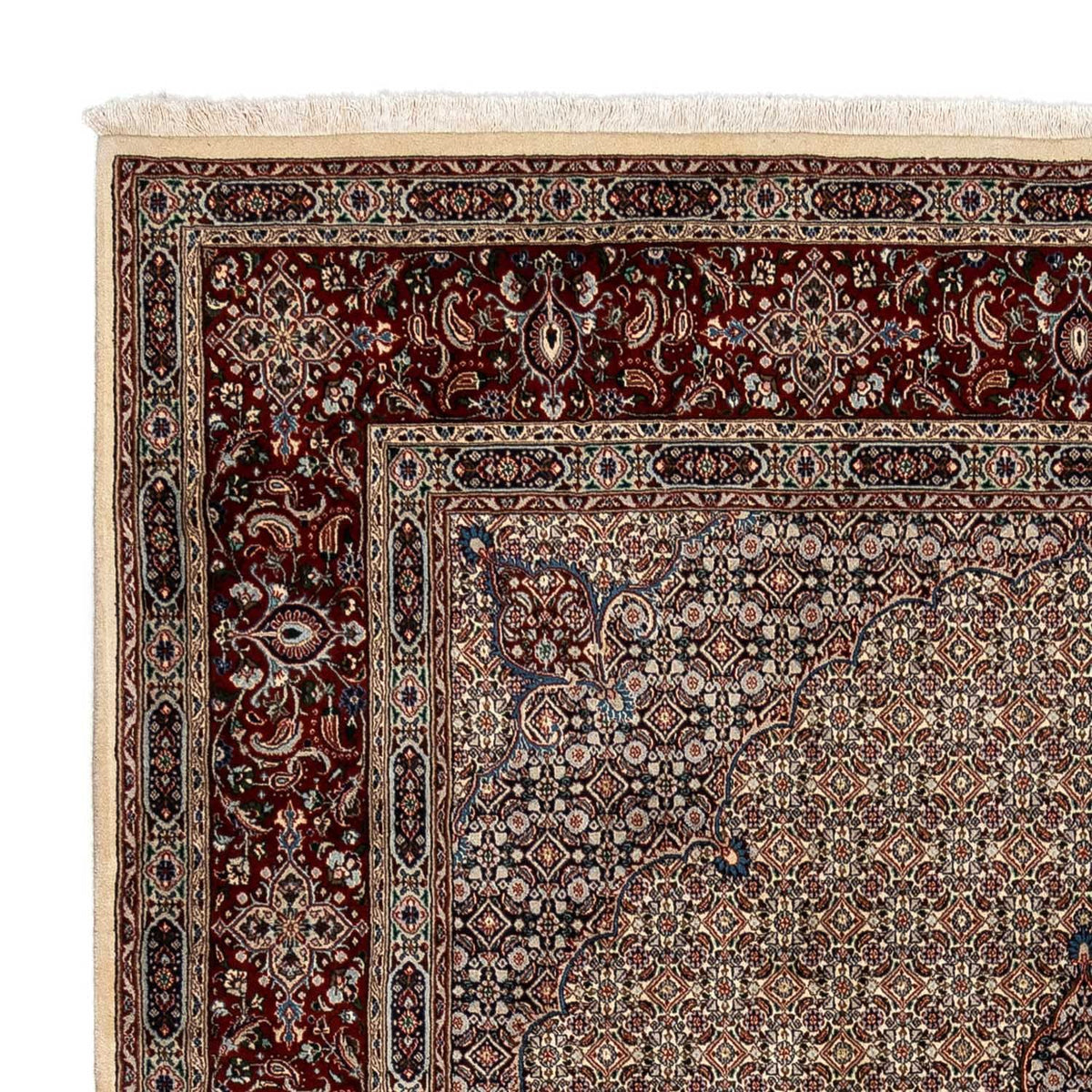 Moud Tappeto 246x352cm - Tappeto persiano